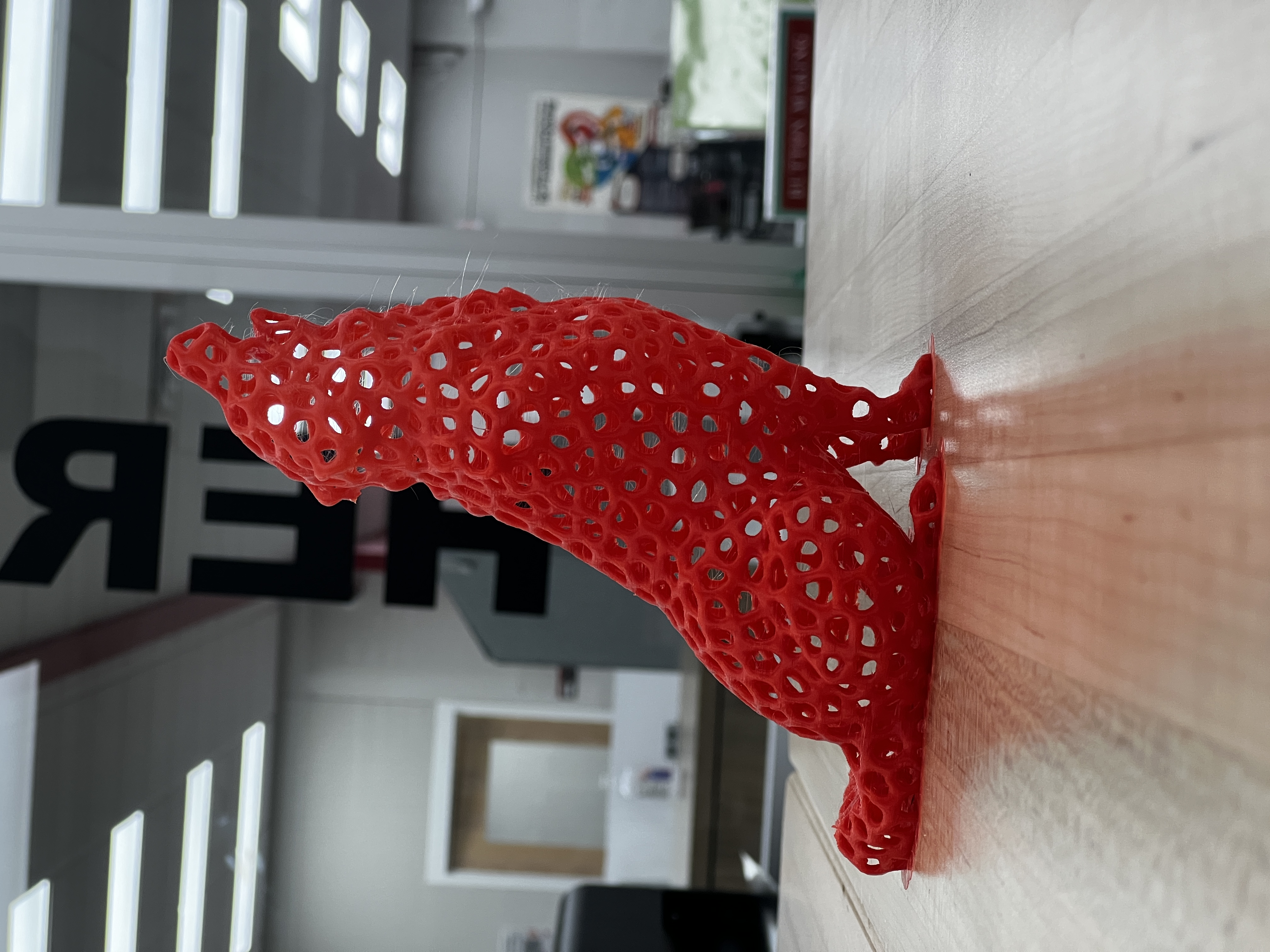 Voronoi Wolf