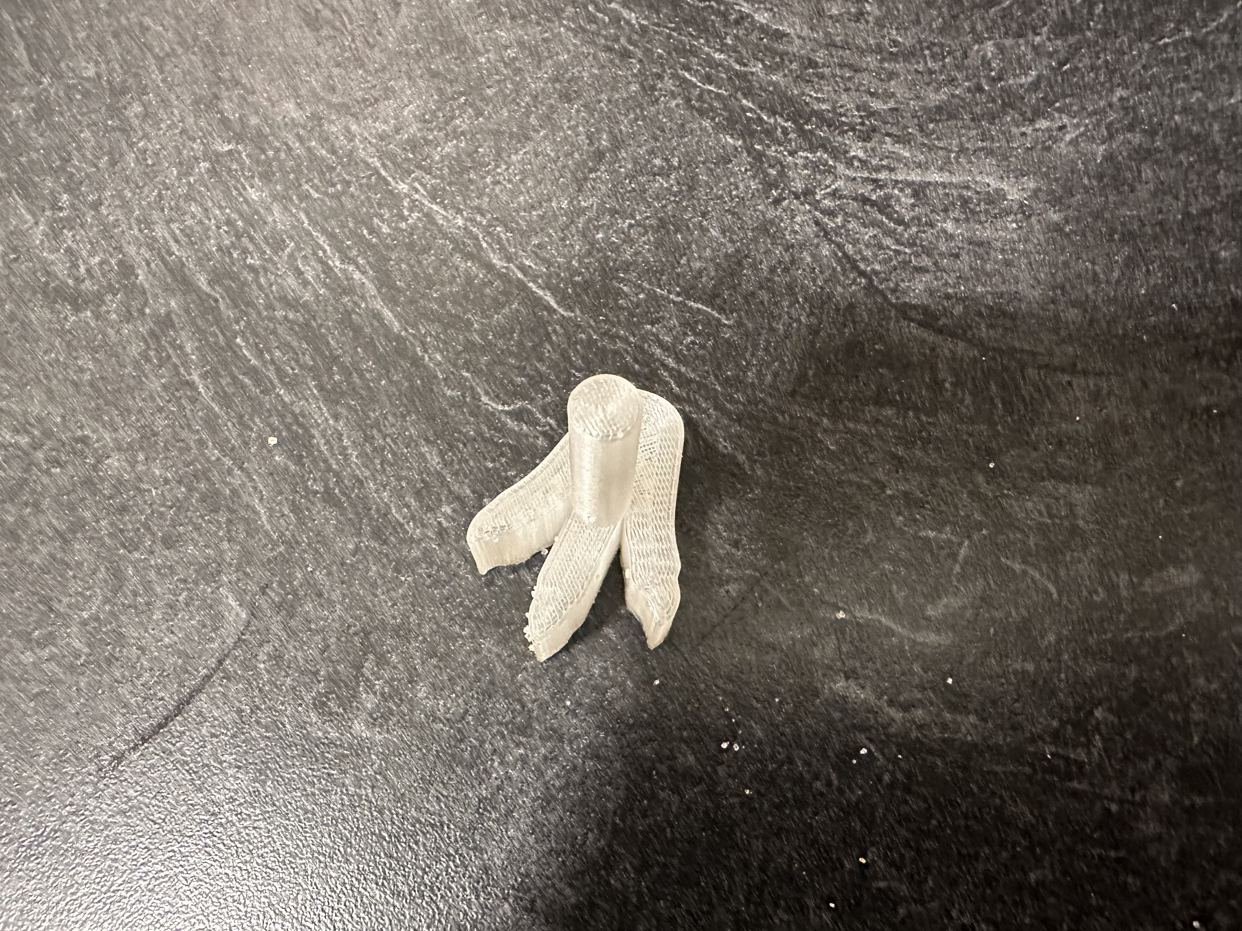 Dinosaur Footprint Cookie Stamp