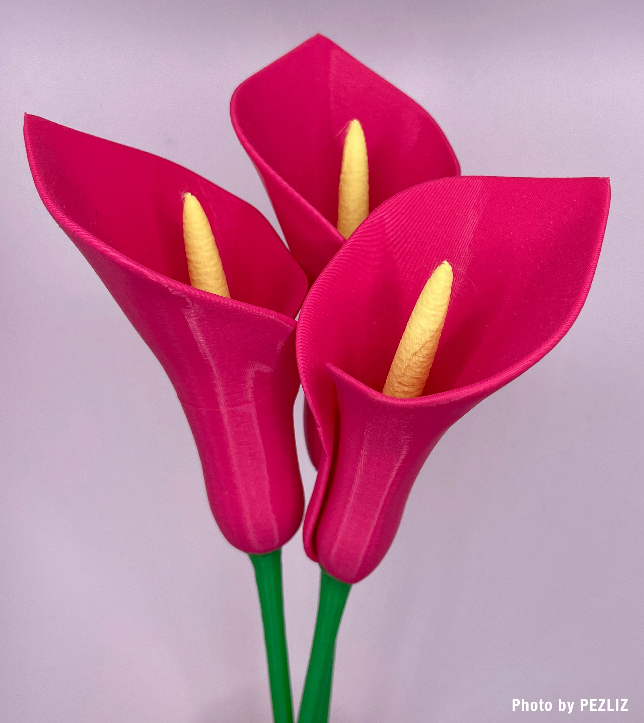 Miniatura 8 do modelo 3D Calla Lily Flower (Vase Mode)