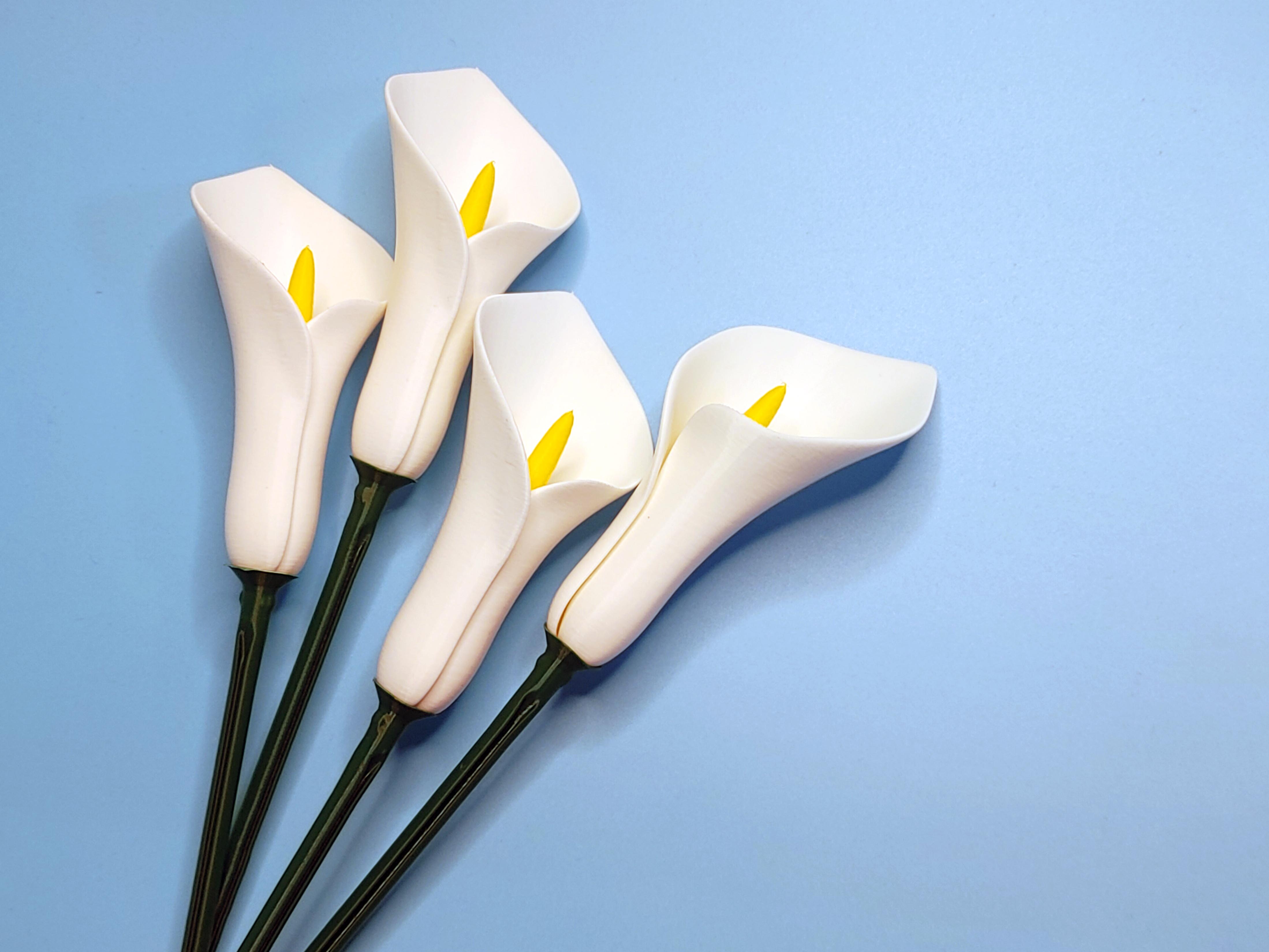 Miniatura 7 do modelo 3D Calla Lily Flower (Vase Mode)