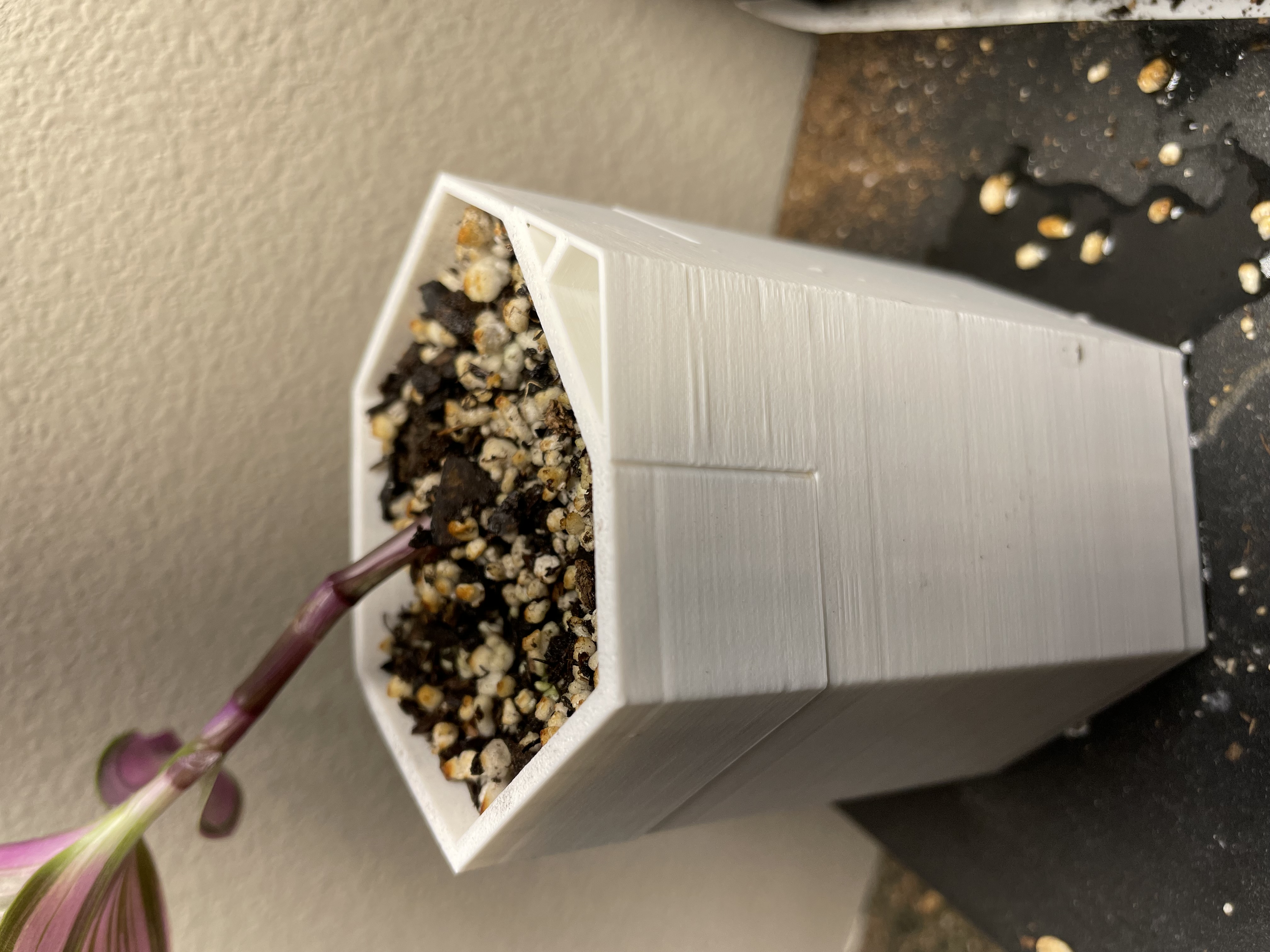 Self-watering pot