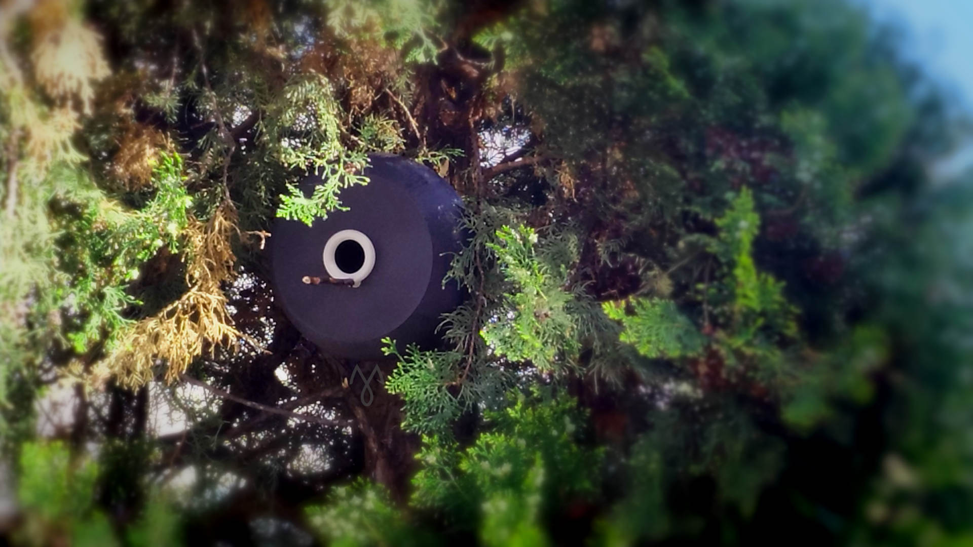 Modern Hobbit Bird Dwelling (Bird House)
