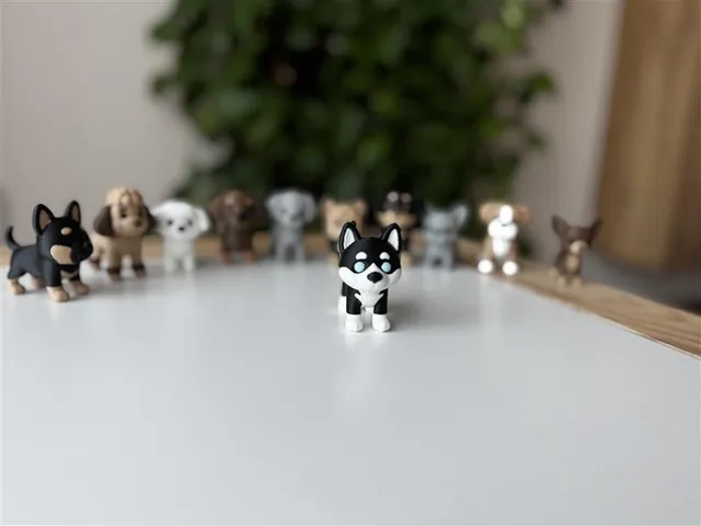 Siberian Husky