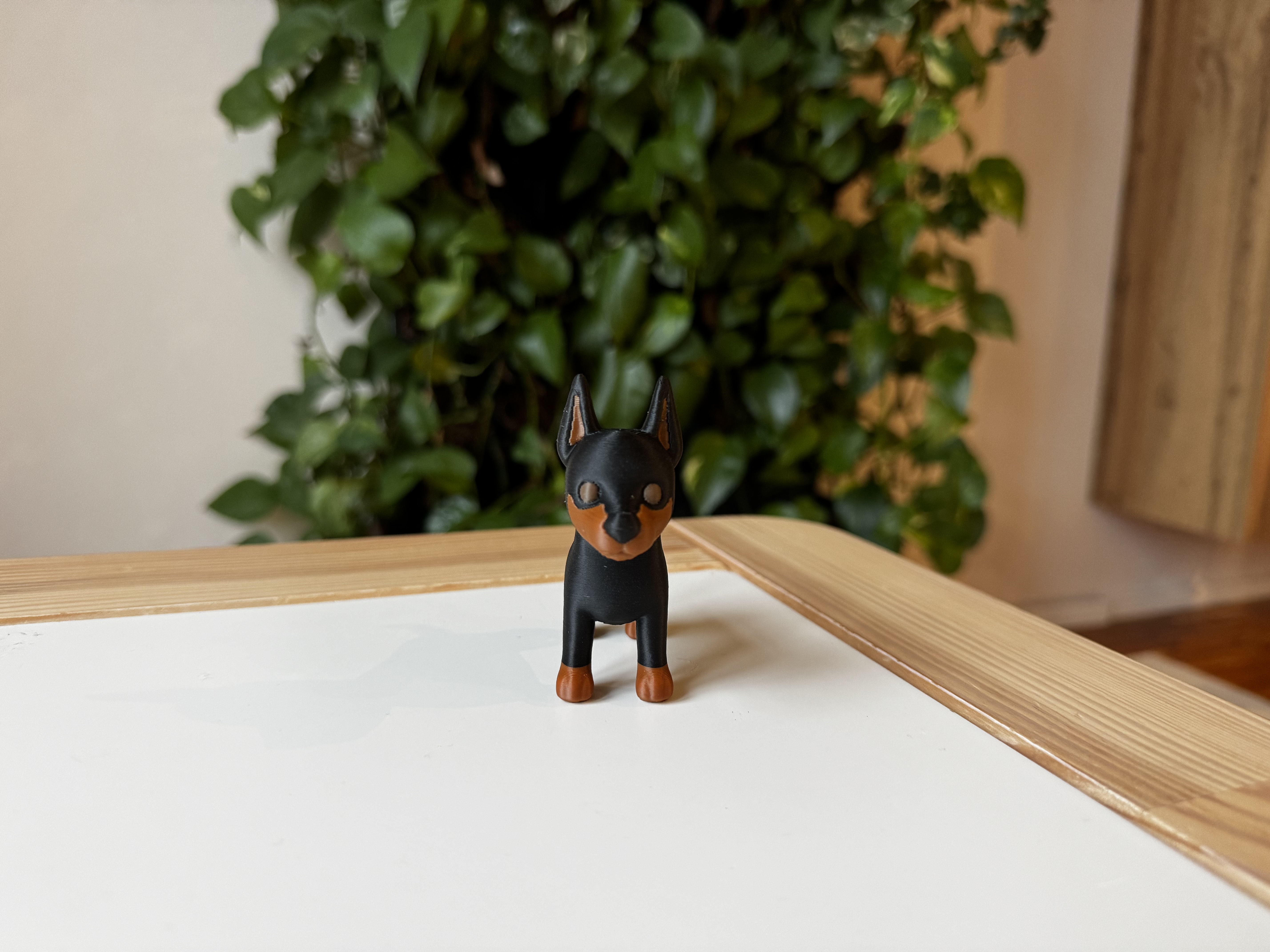 Miniatura 3 do modelo 3D Doberman Pinscher
