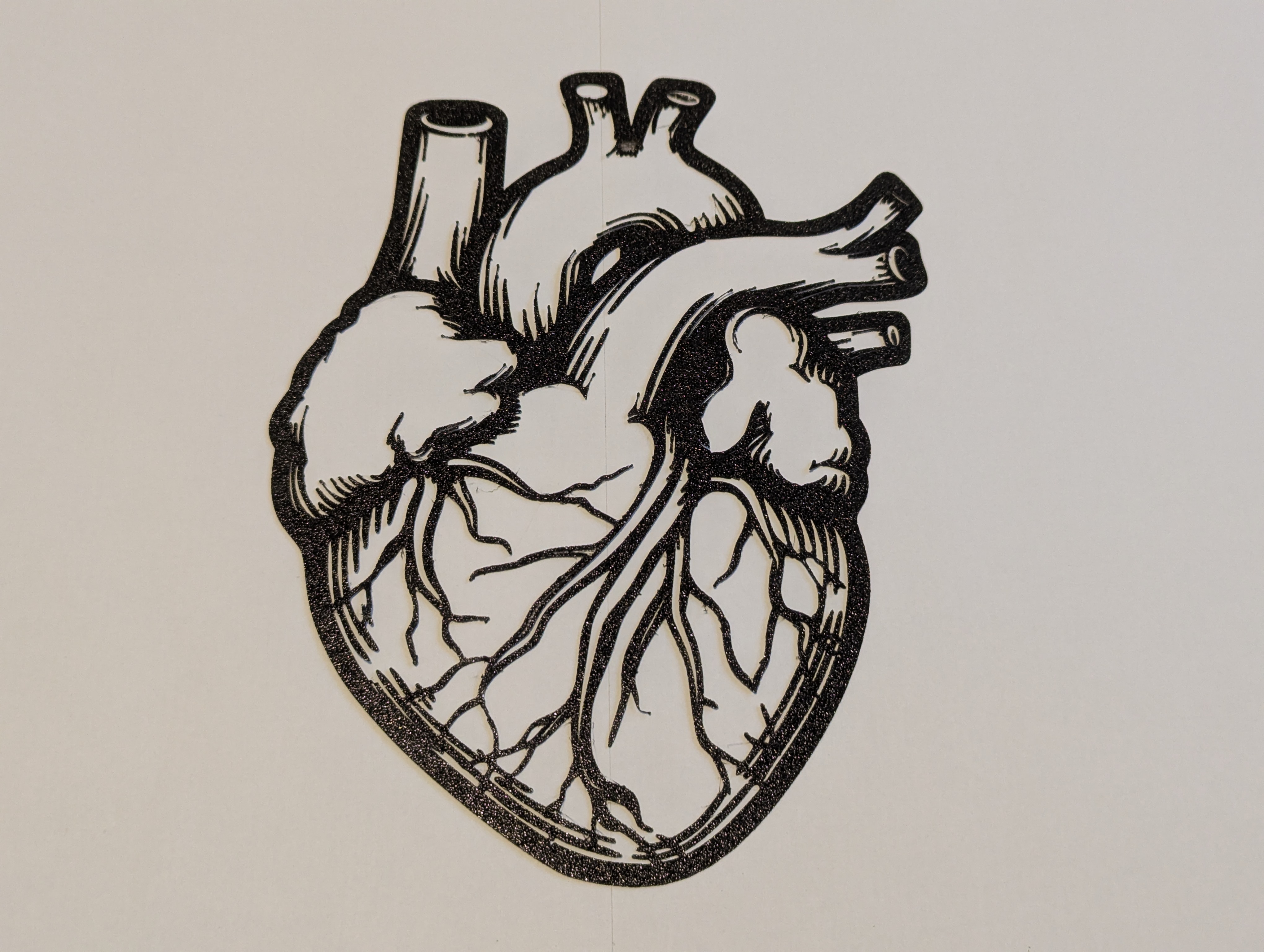Human Heart Outline Model / Wall Art V2