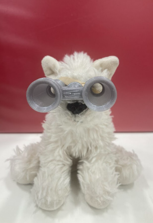 Binoculars