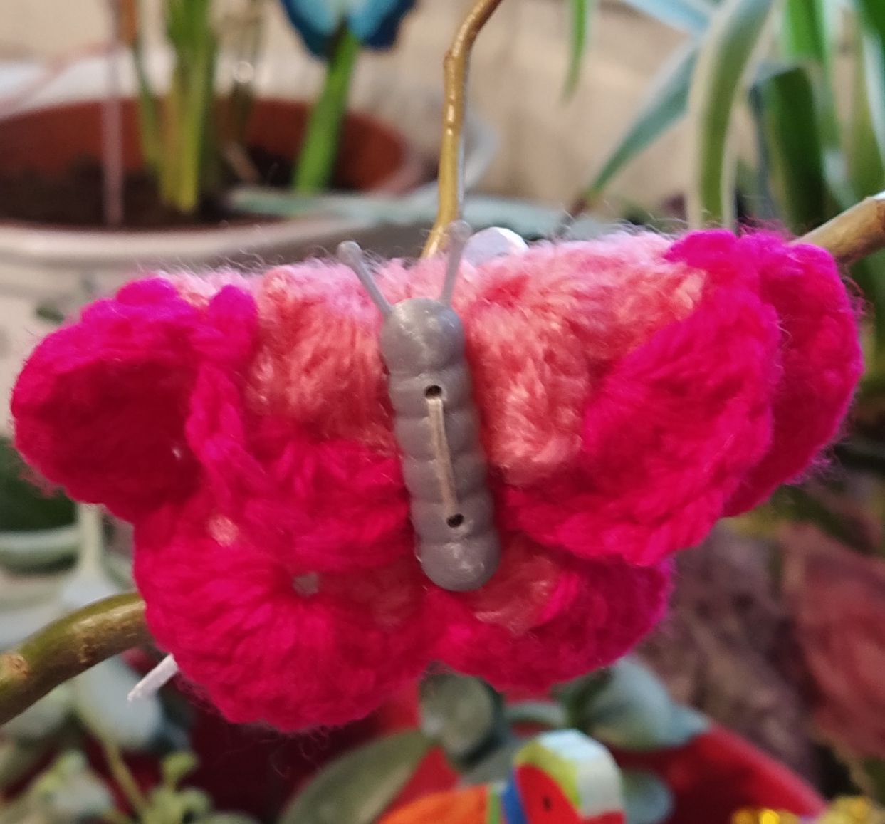 Butterfly bodies - Corps de papillons
