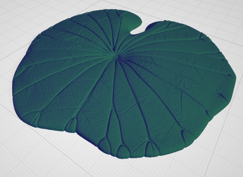 hoja de la flor de loto