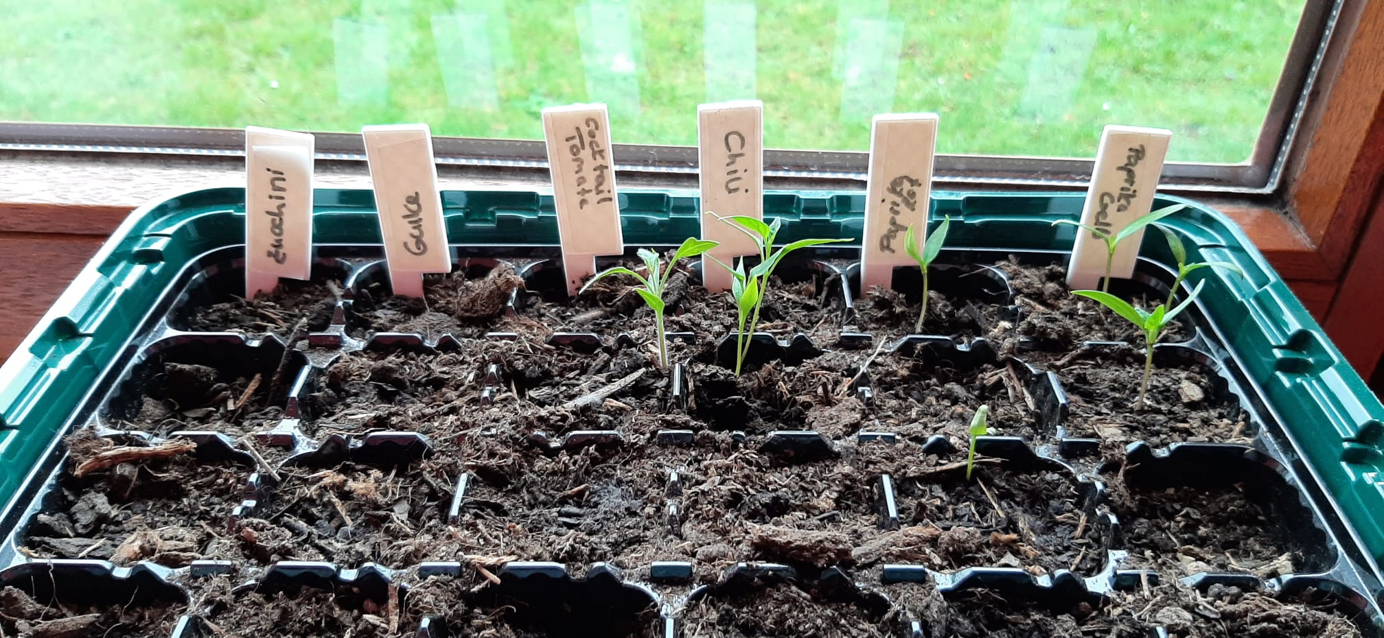 seedstarter label