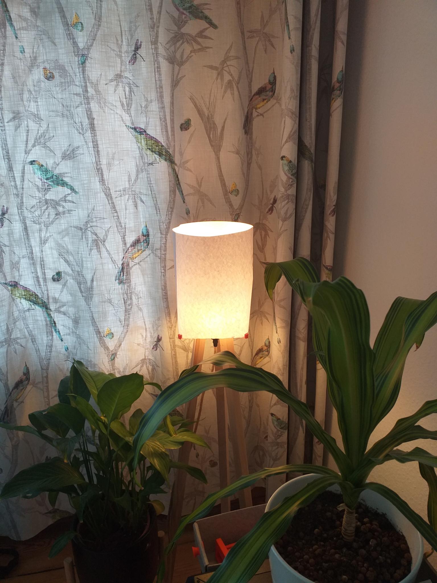 Tripod Lamp