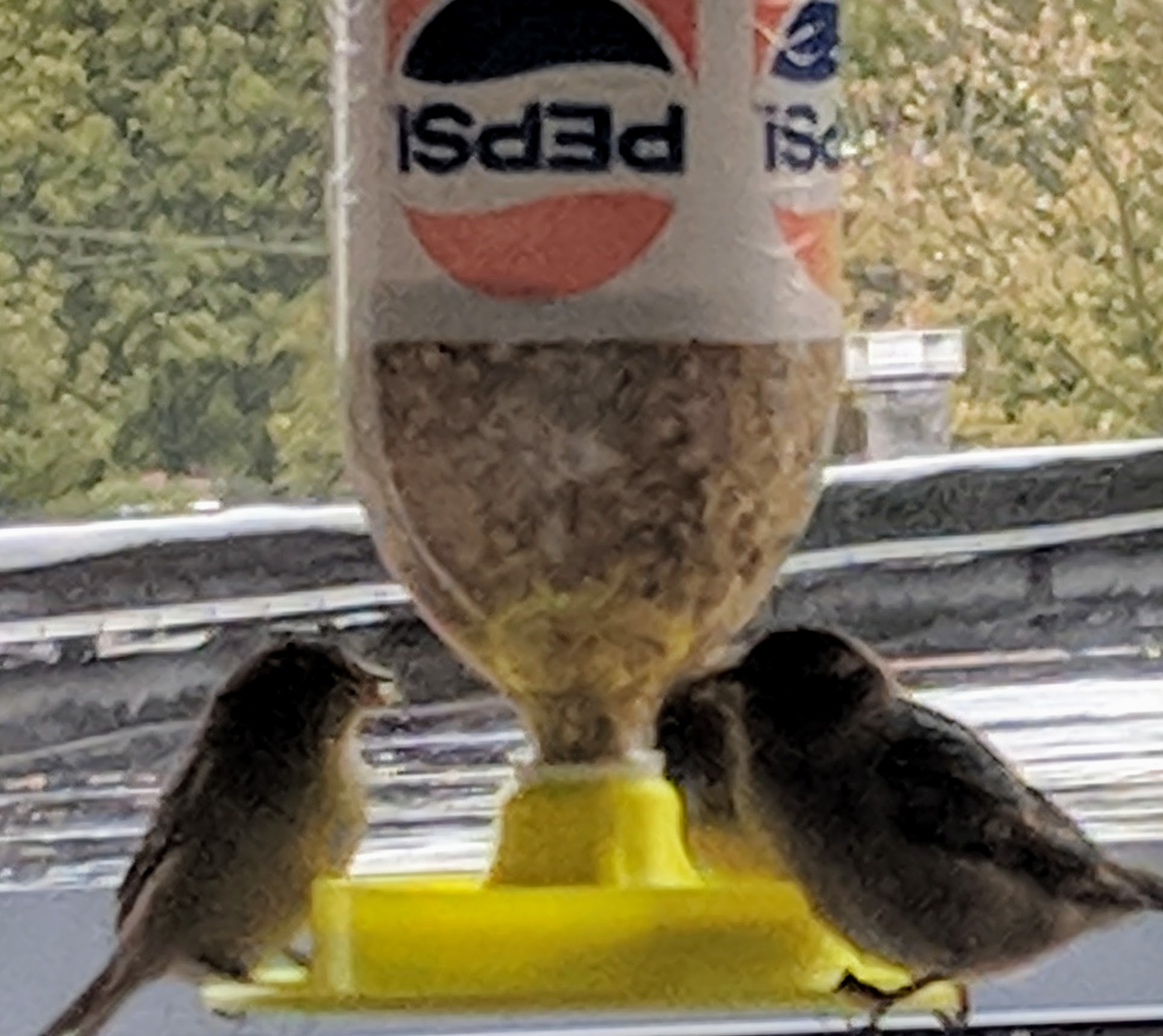 Upcycled 2 or 1.89 (64oz) Liter Bottle Or Wide Mouth Ball Jar Birdfeeder