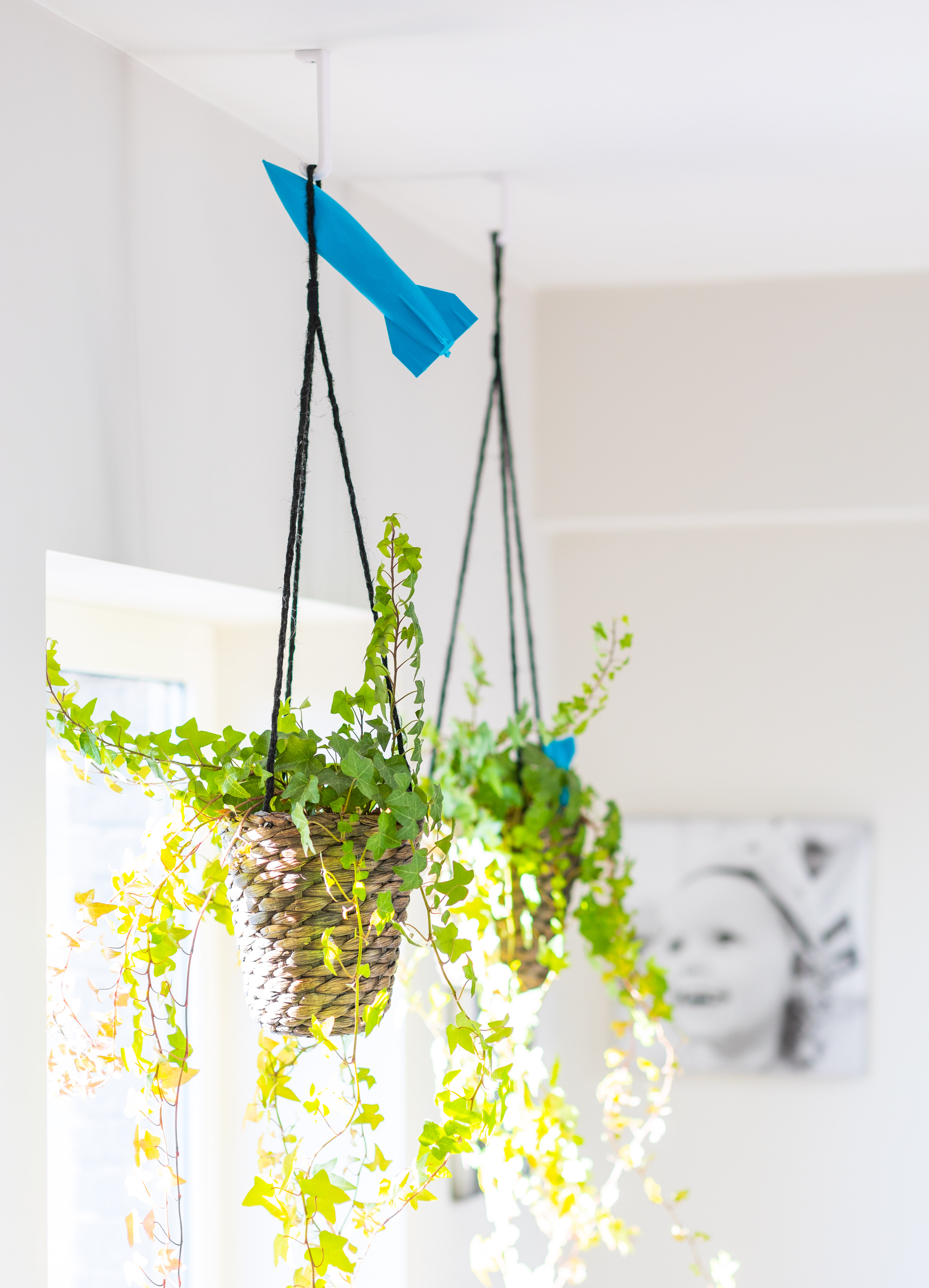 Ceiling hook for plants