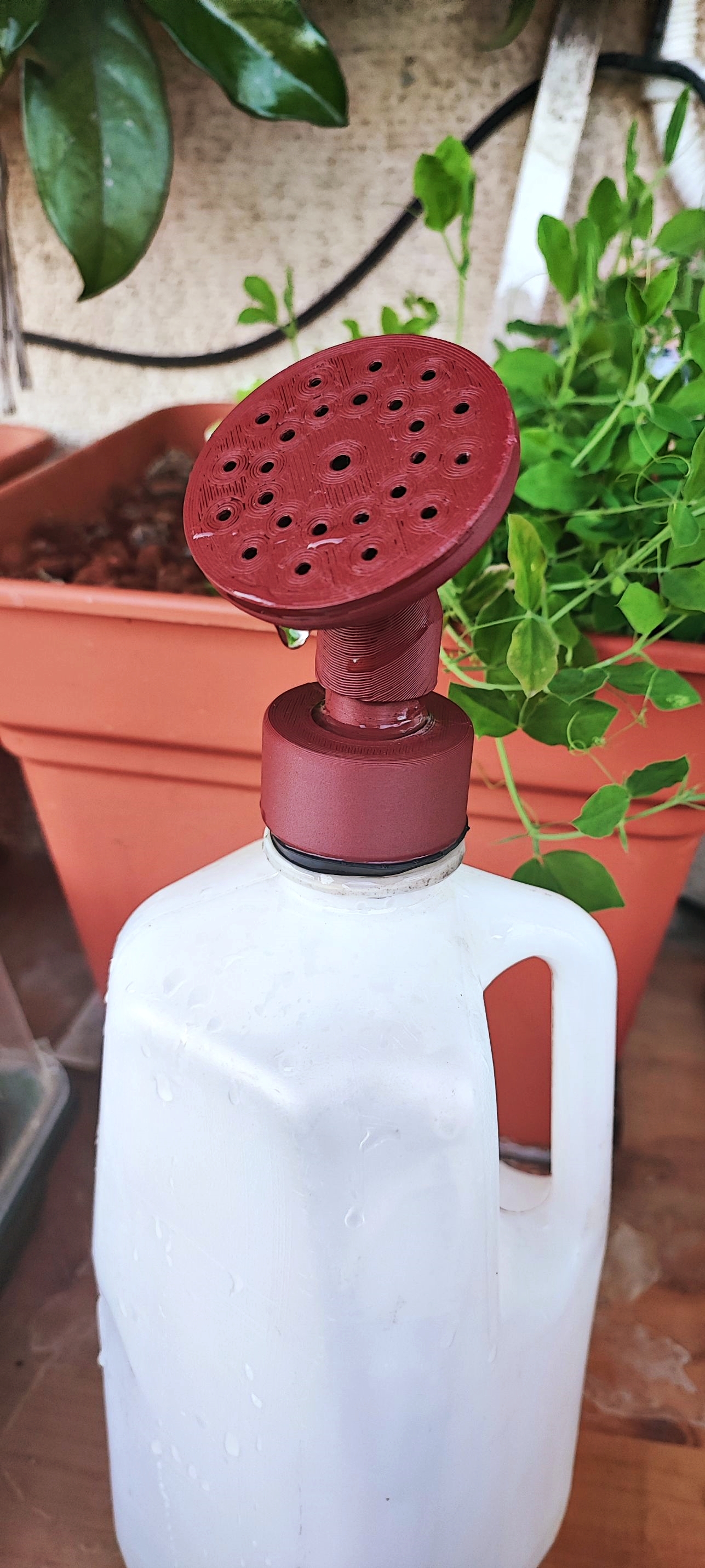 Water Bottle Sprinkler Head