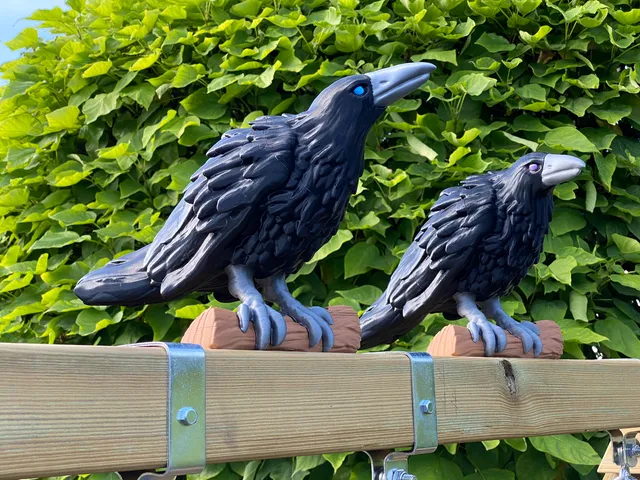 Viking Ravens (playground Halloween decor)