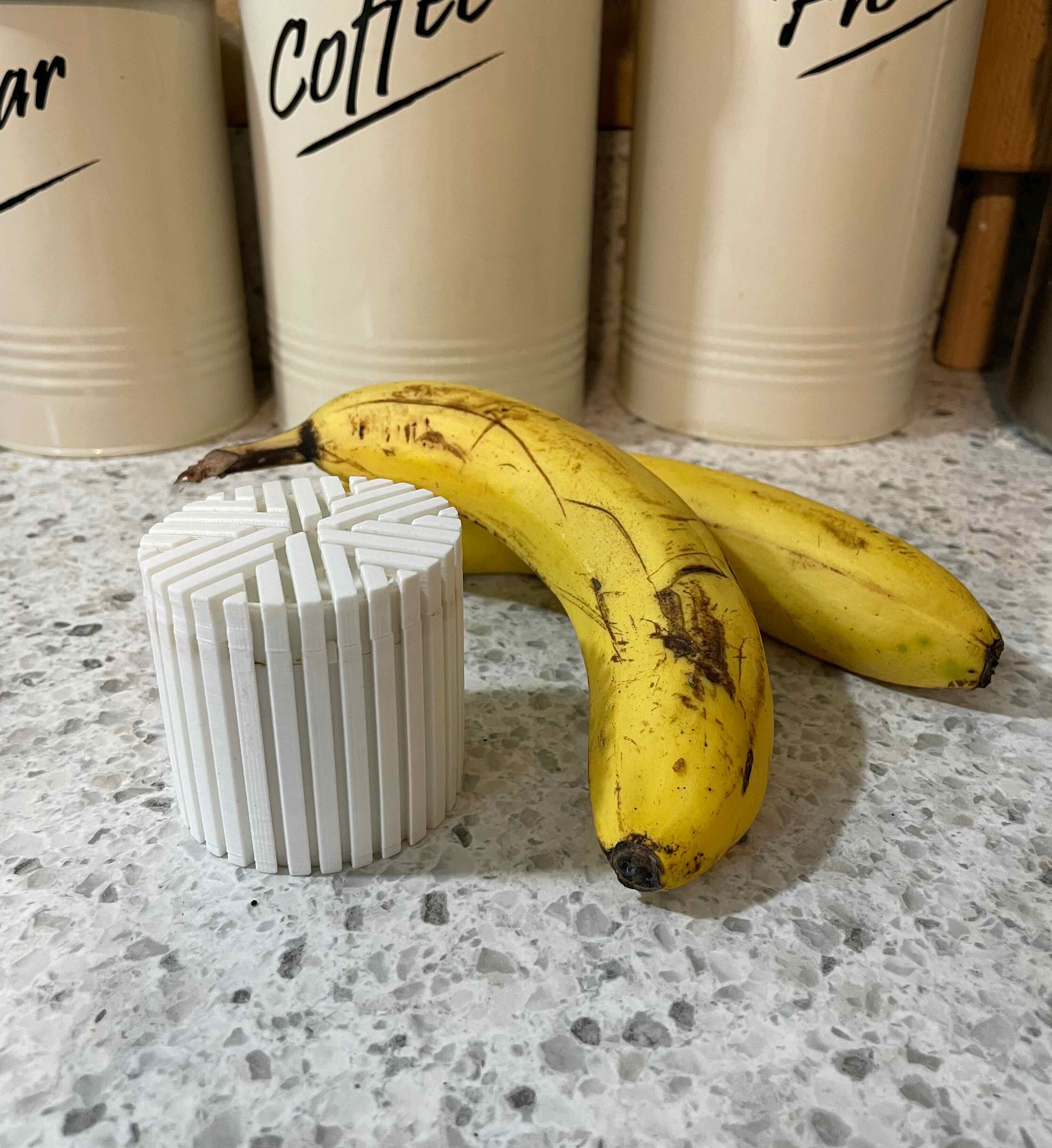Decorative Fruit Fly Trap