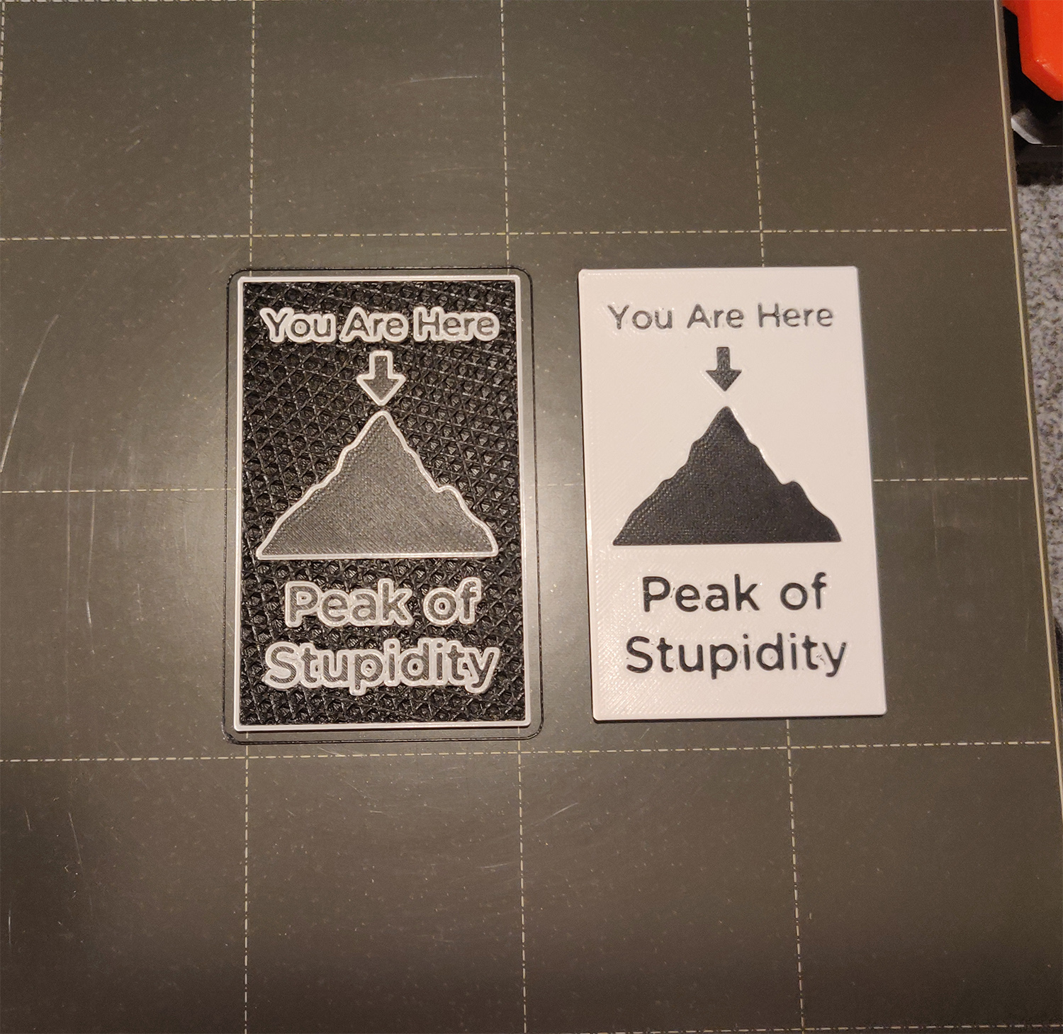Peak of Stupidity Magnet