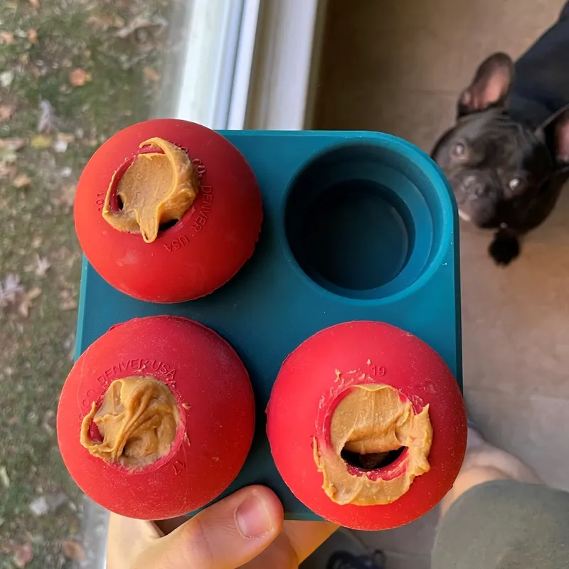 Frozen kong outlet toy