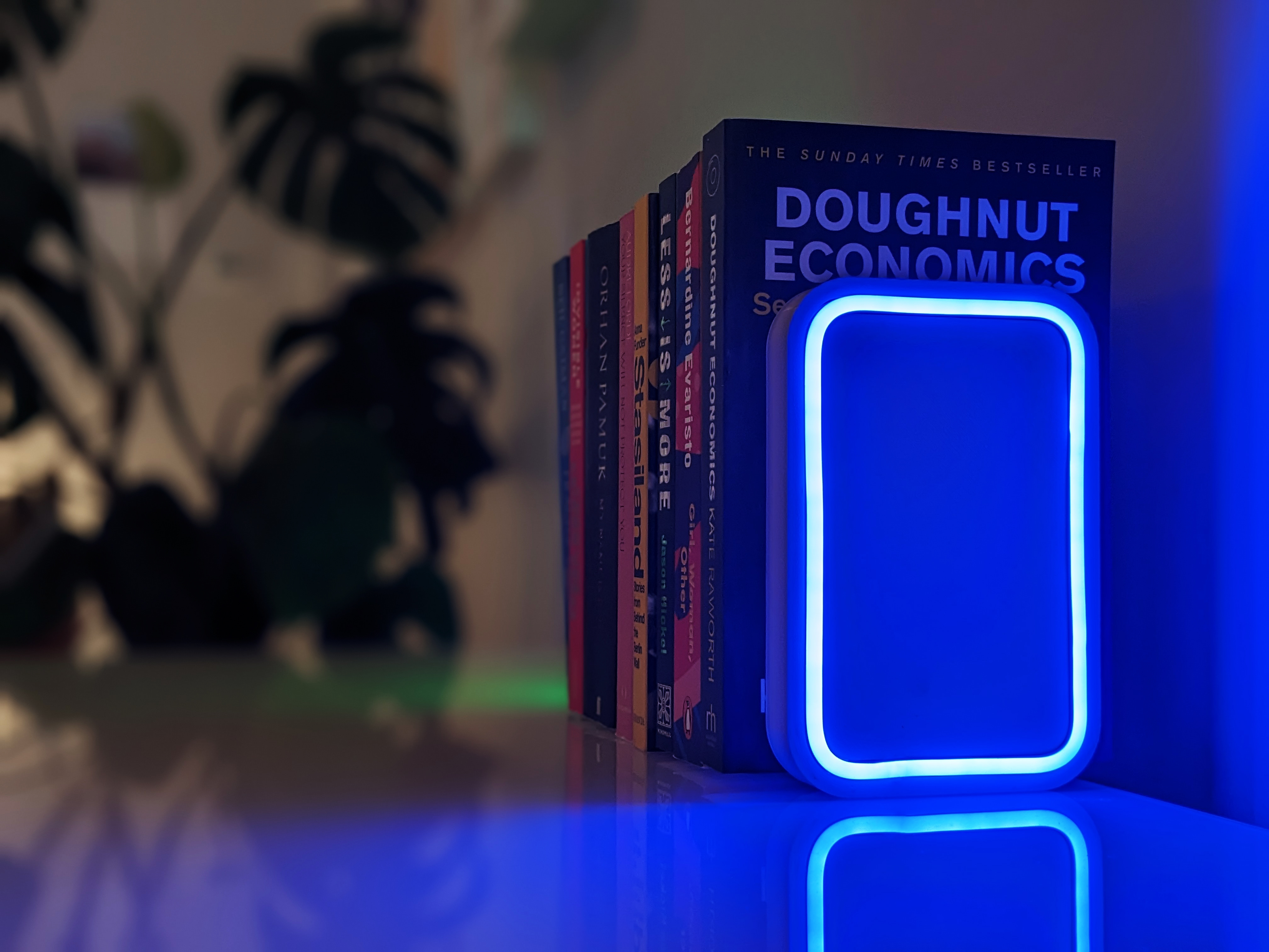 LED Neon Bookends
