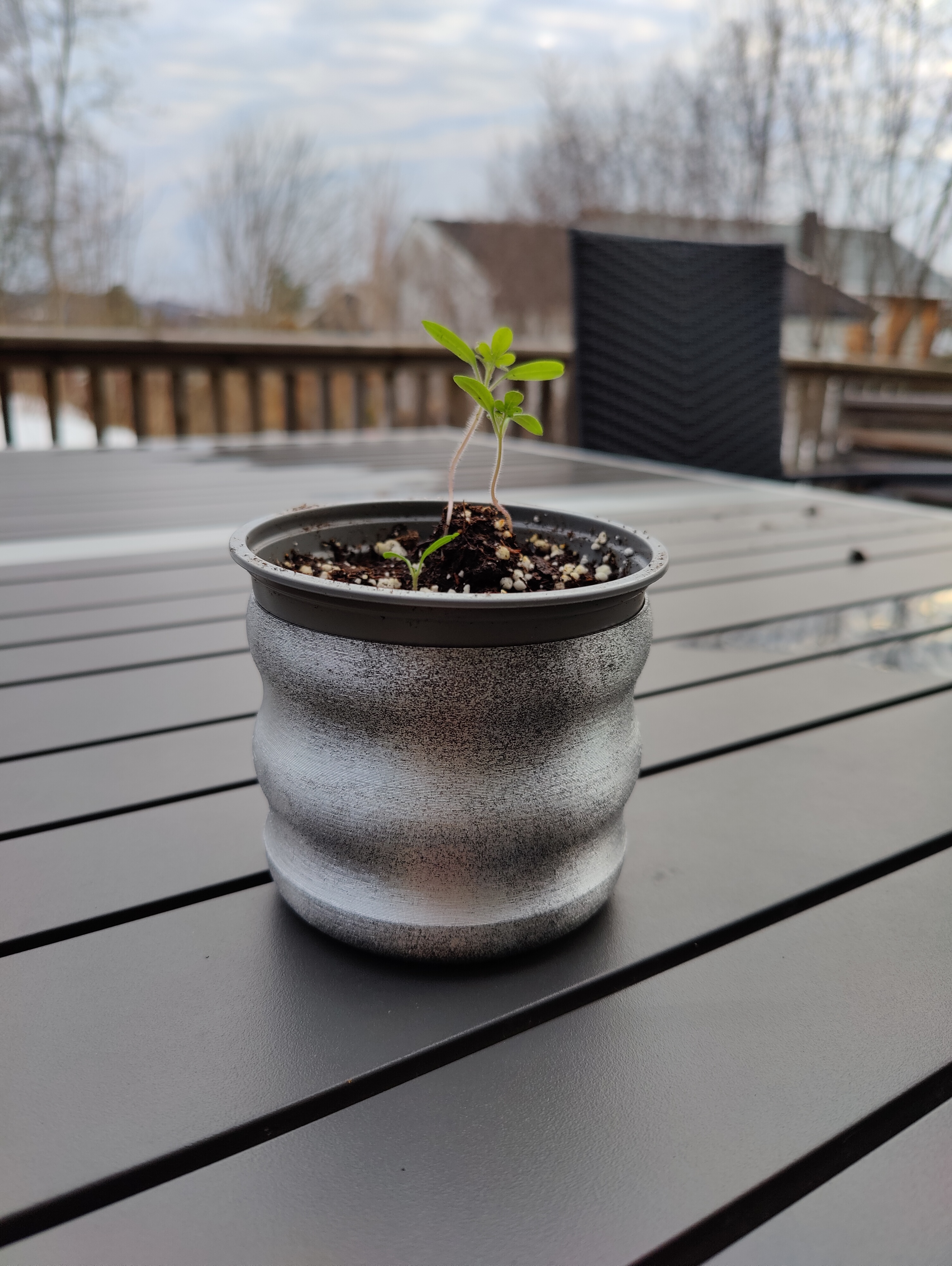 Wavy plant pot (vasemode and non-vasemode versions)