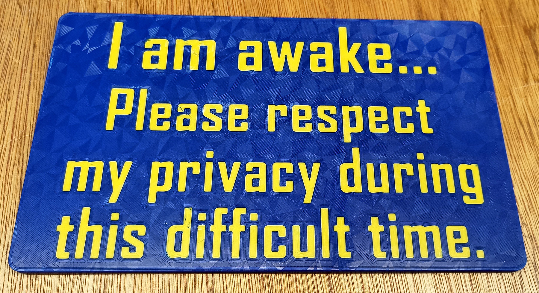Funny Sign - "I'm Awake... Please respect my privacy during this difficult time"