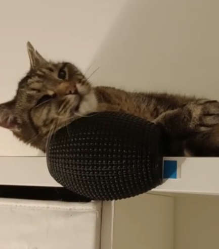 Fuzzy Cat Scratcher