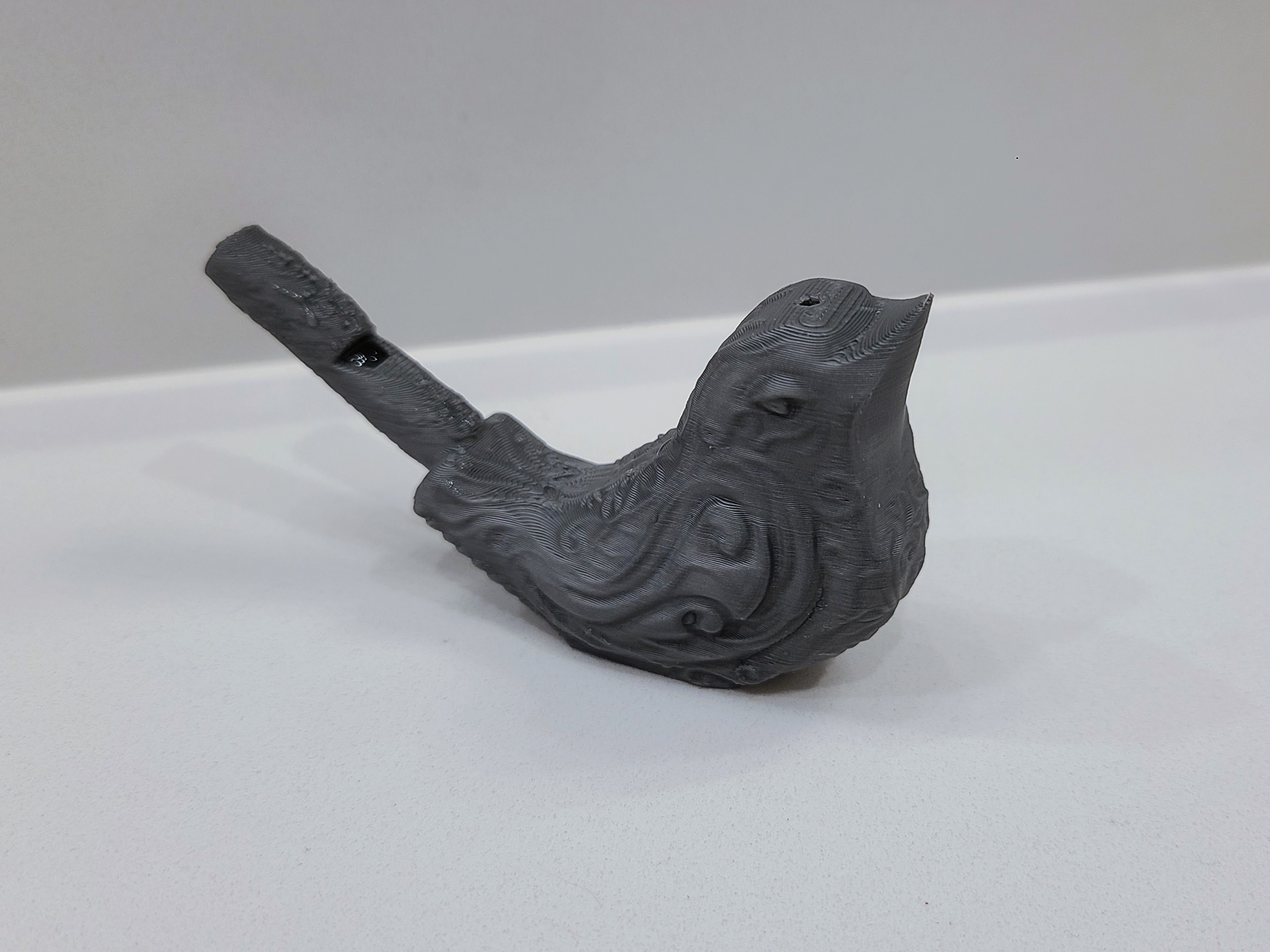 Chirping Warbling Bird Whistle