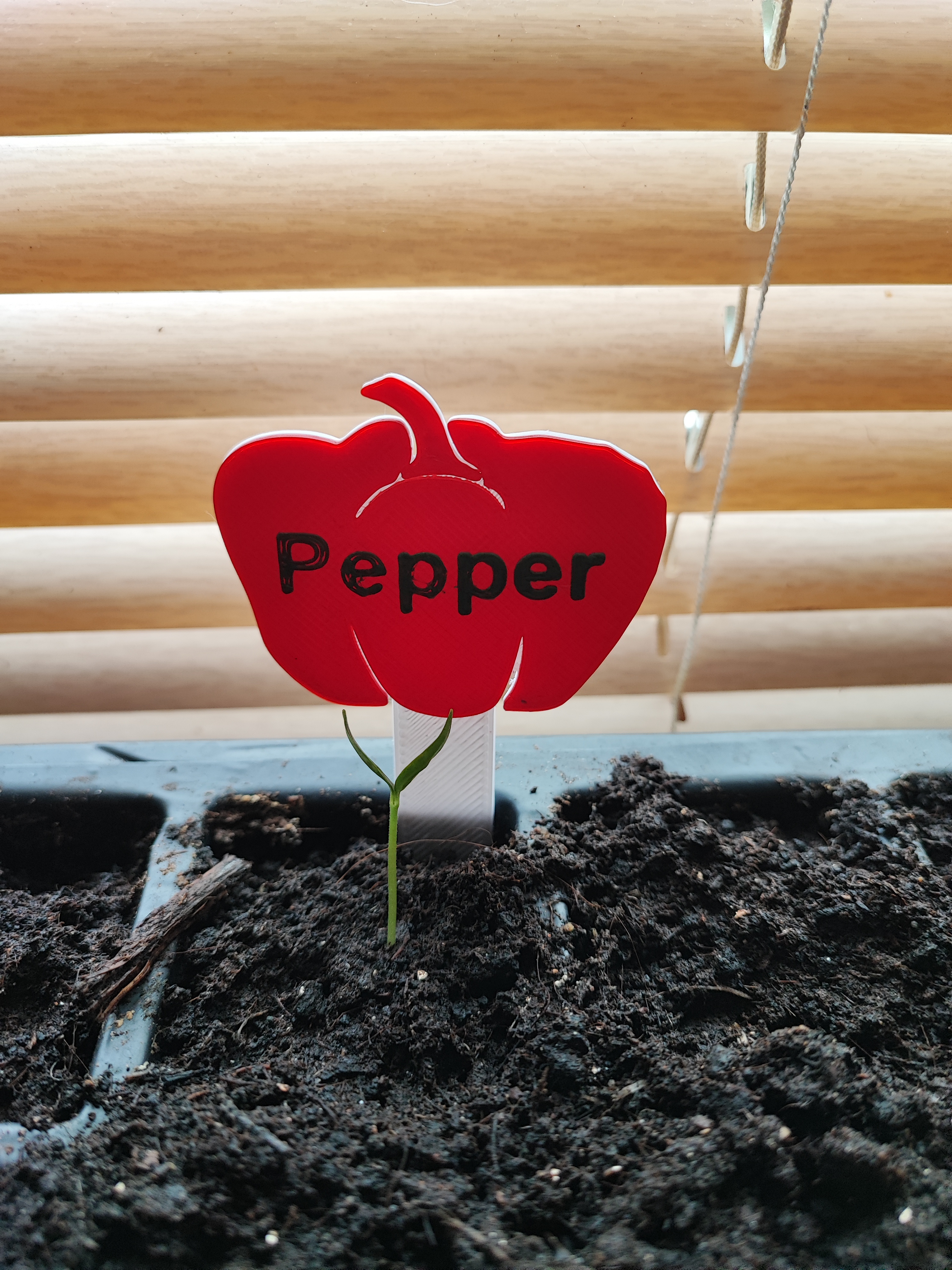 Miniatura 4 do modelo 3D remixed chilli and pepper