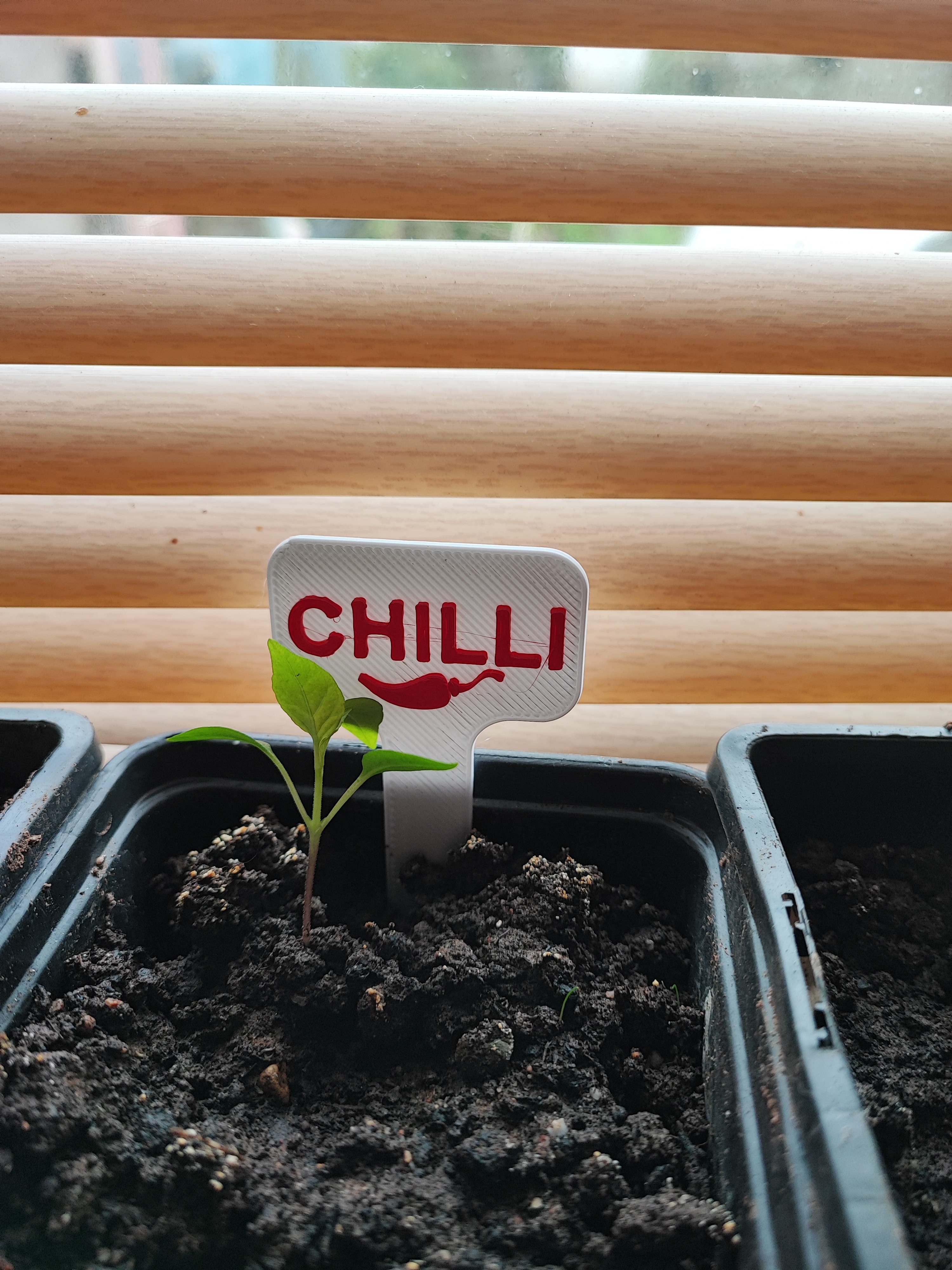 Miniatura 3 do modelo 3D remixed chilli and pepper