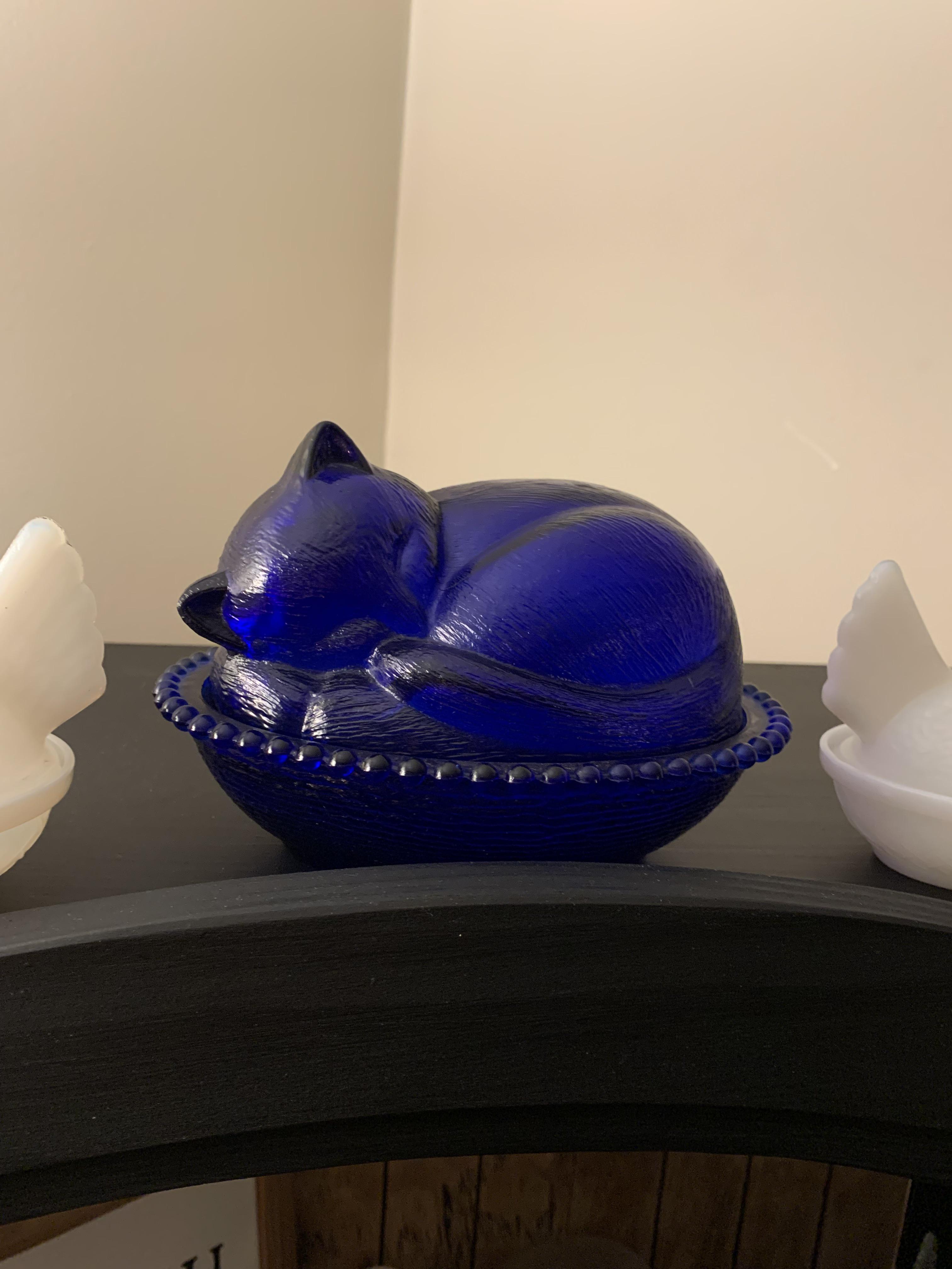 Indiana Cat On Nest