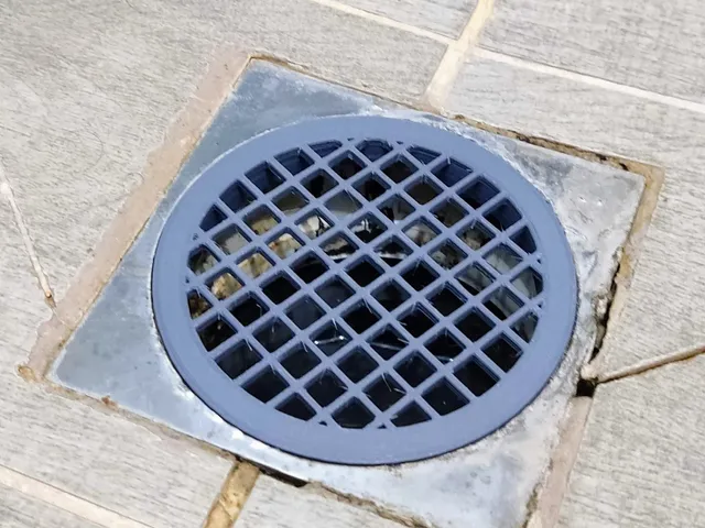 Drain cover