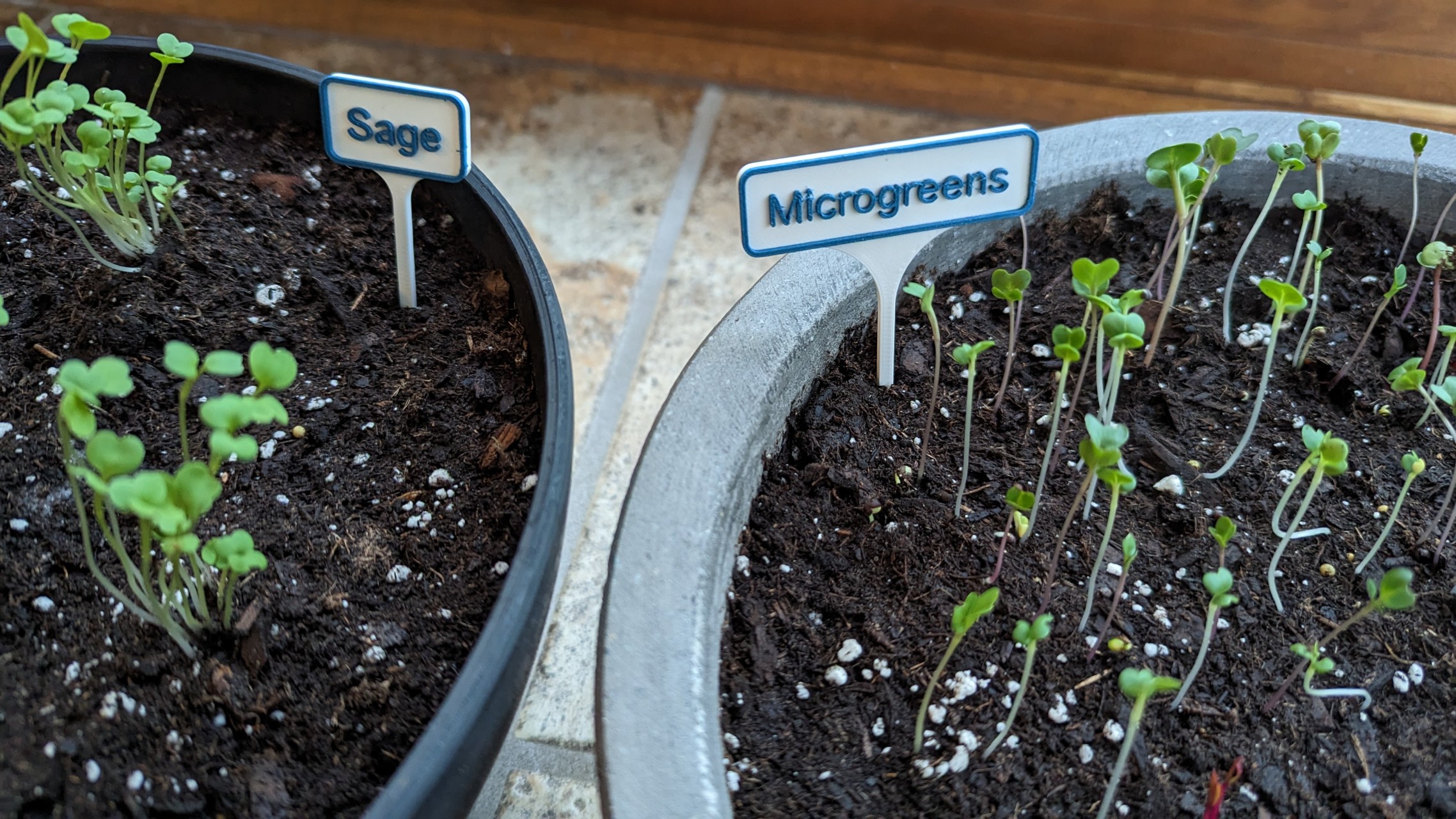 Plant (herb) Labels