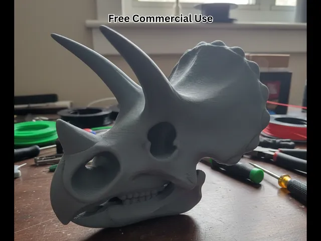 Cartoon Triceratops Skull
