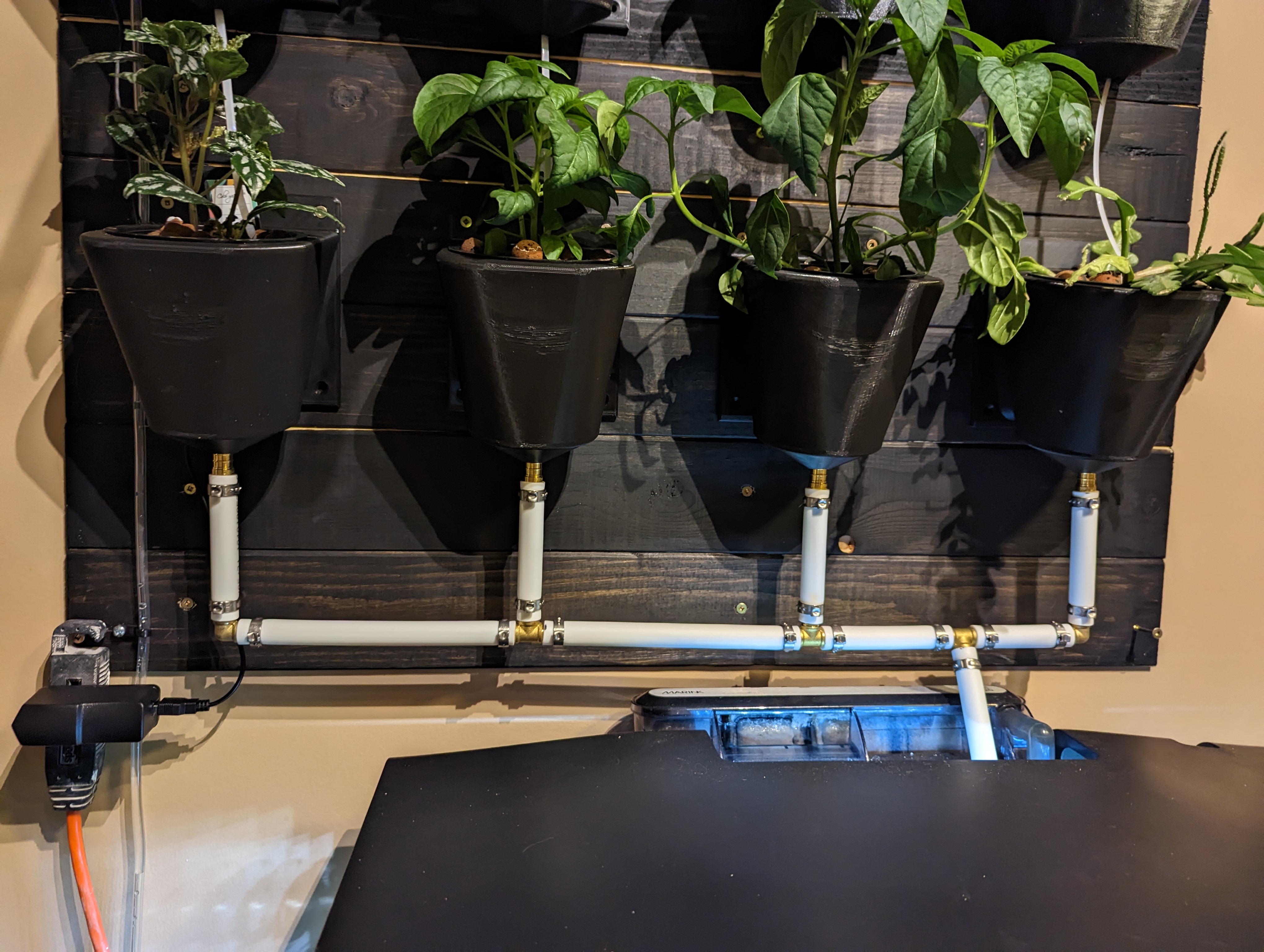 Automated Aquaponic System