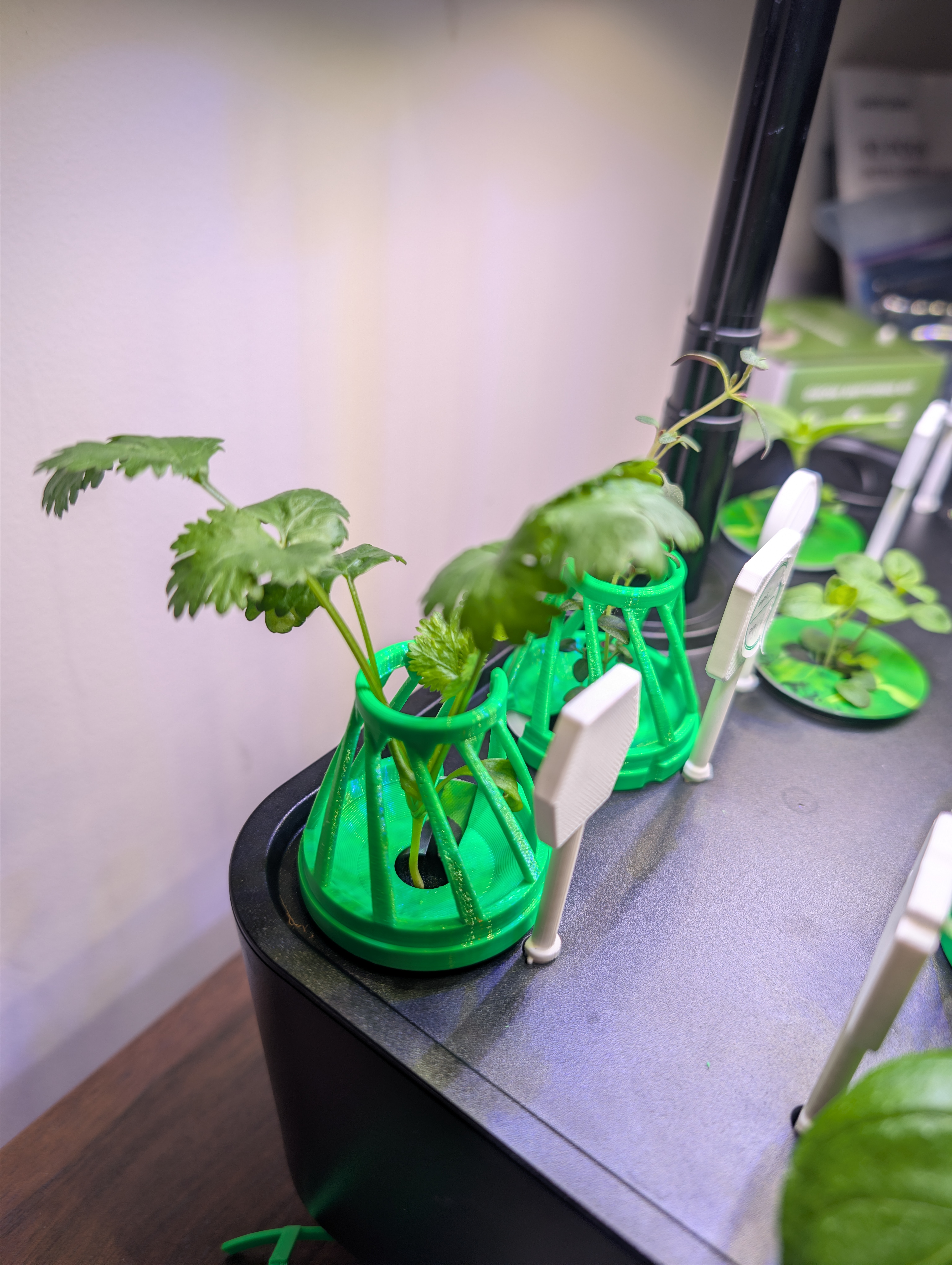 Hydroponic Cap with Integrated Plant Support