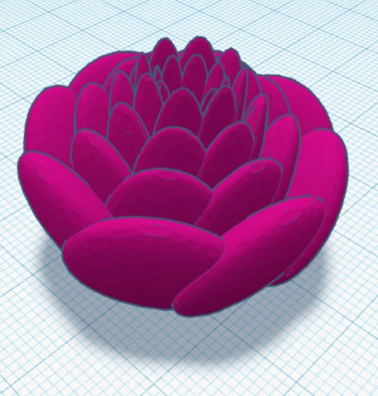 Flower Floating on Water