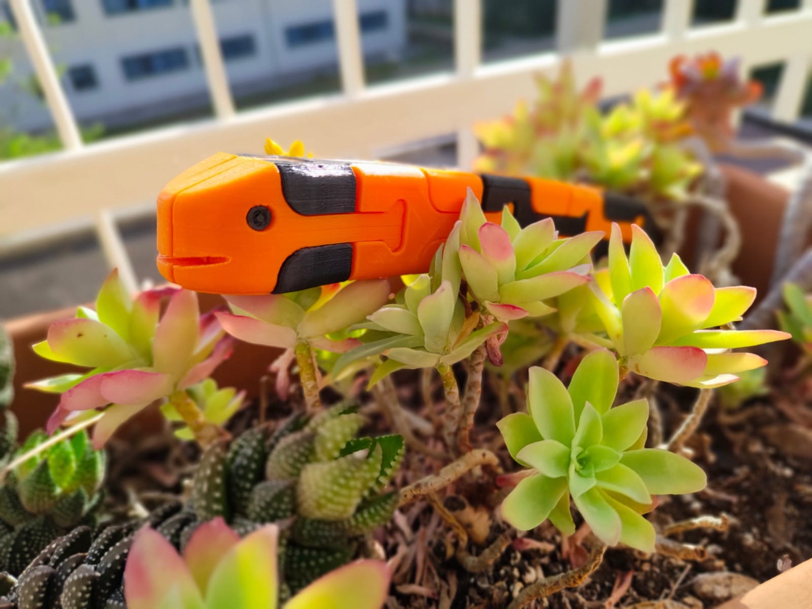 Snake Puzzle