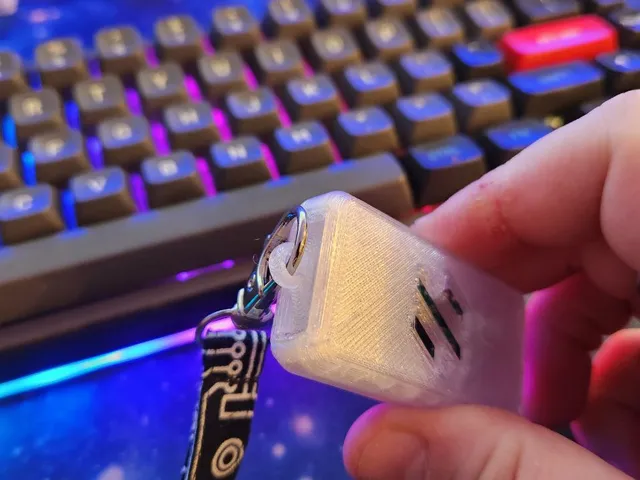 Keychain insert