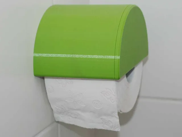 Toilet Paper Holder with Magnetic Lid
