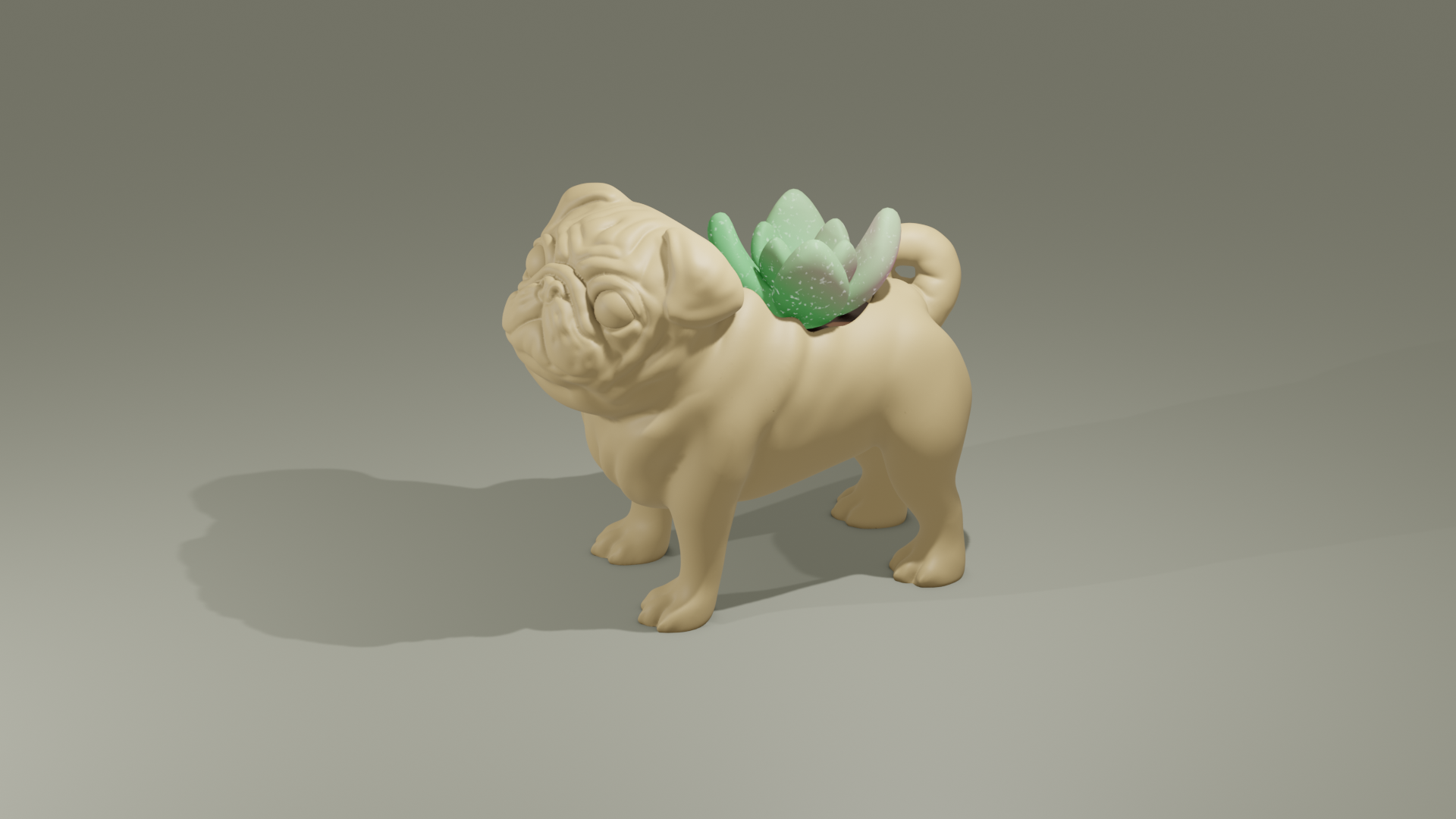 Pug Pot Plant
