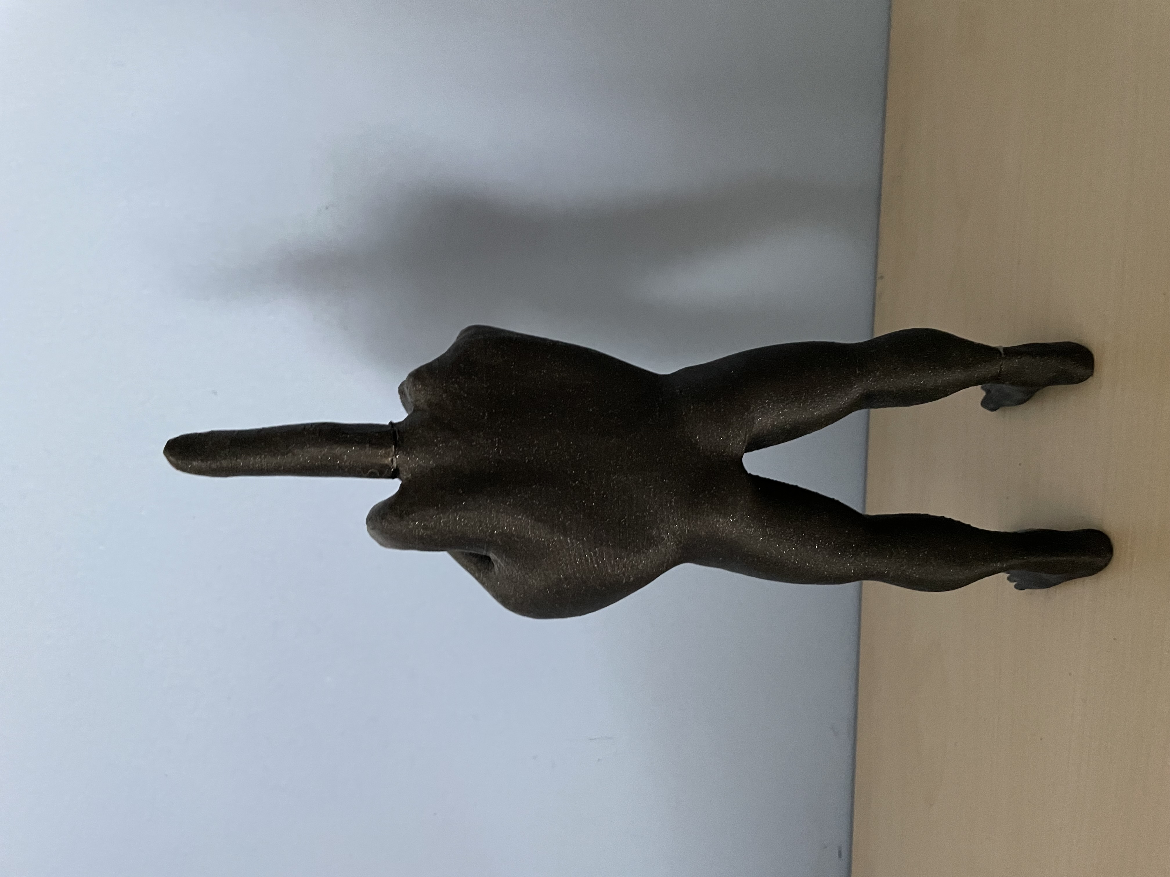 Handyman middle finger