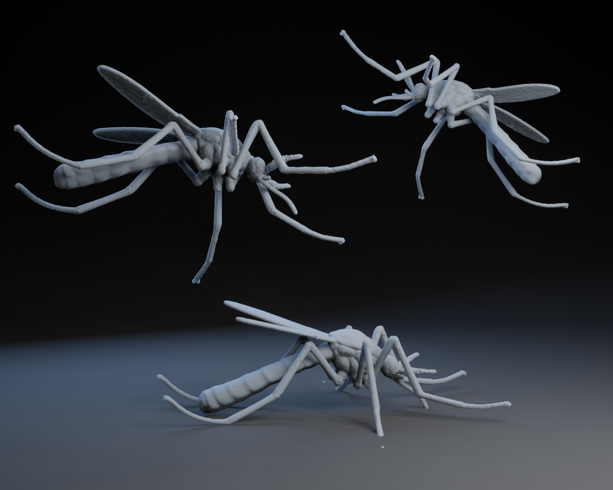 Minnesota Mosquito