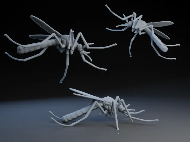 Minnesota Mosquito