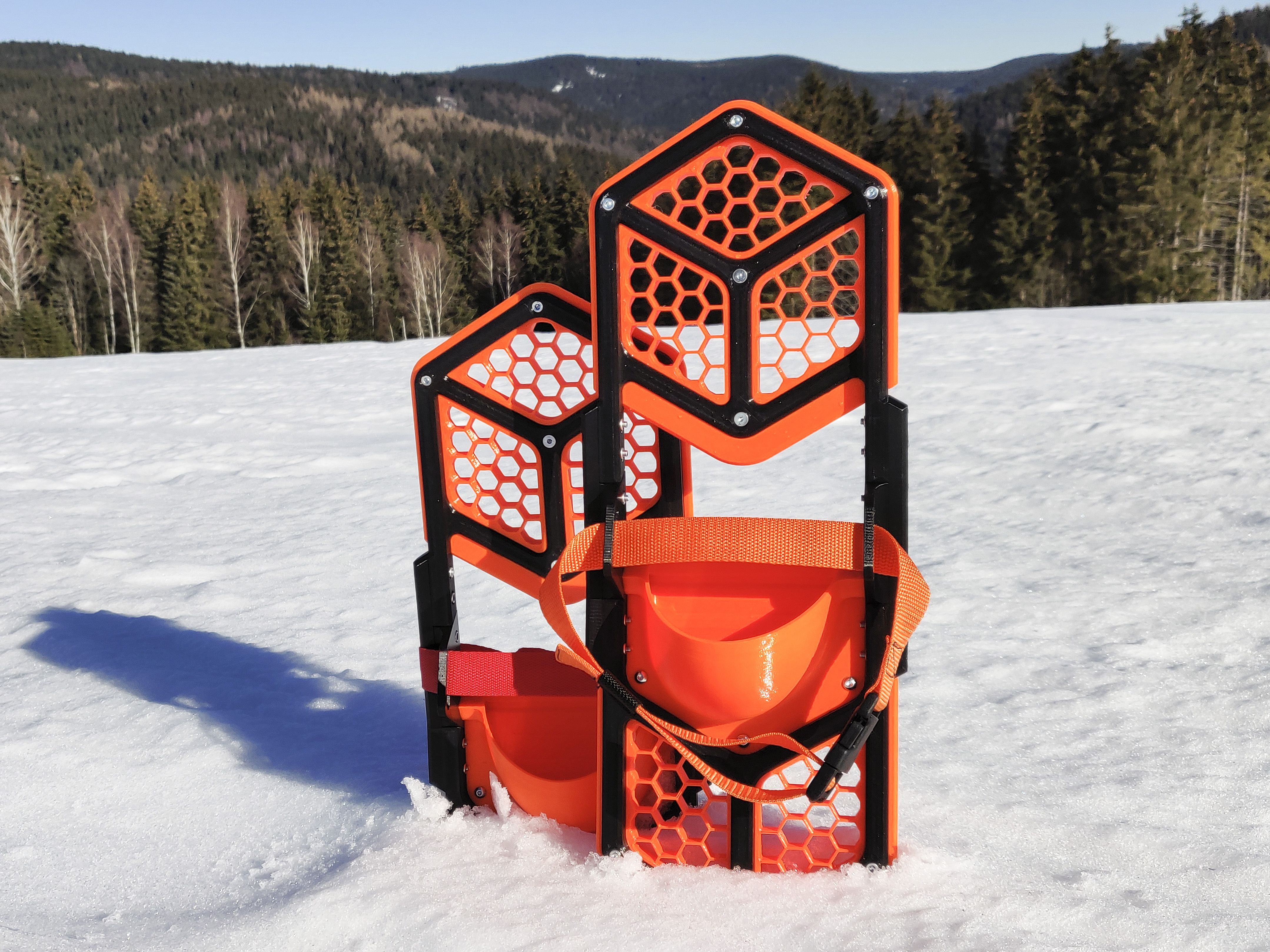 Snowshoes