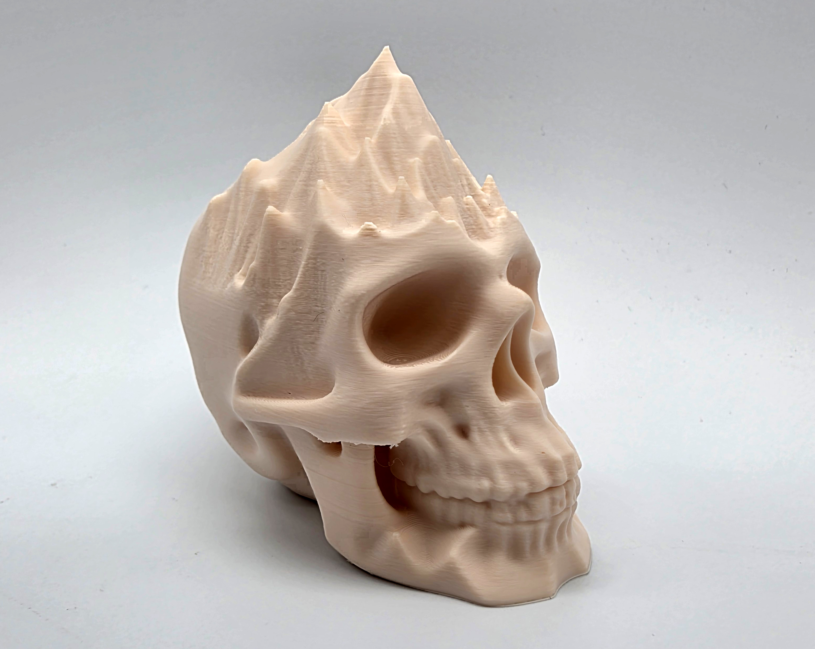 Mountains on my Mind Skull