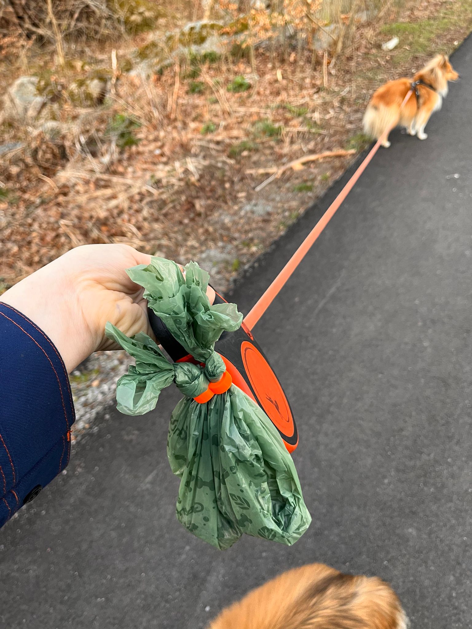 Duo Flexi Leash Hook Attatchment For Two Used Poop Bags by Hampej