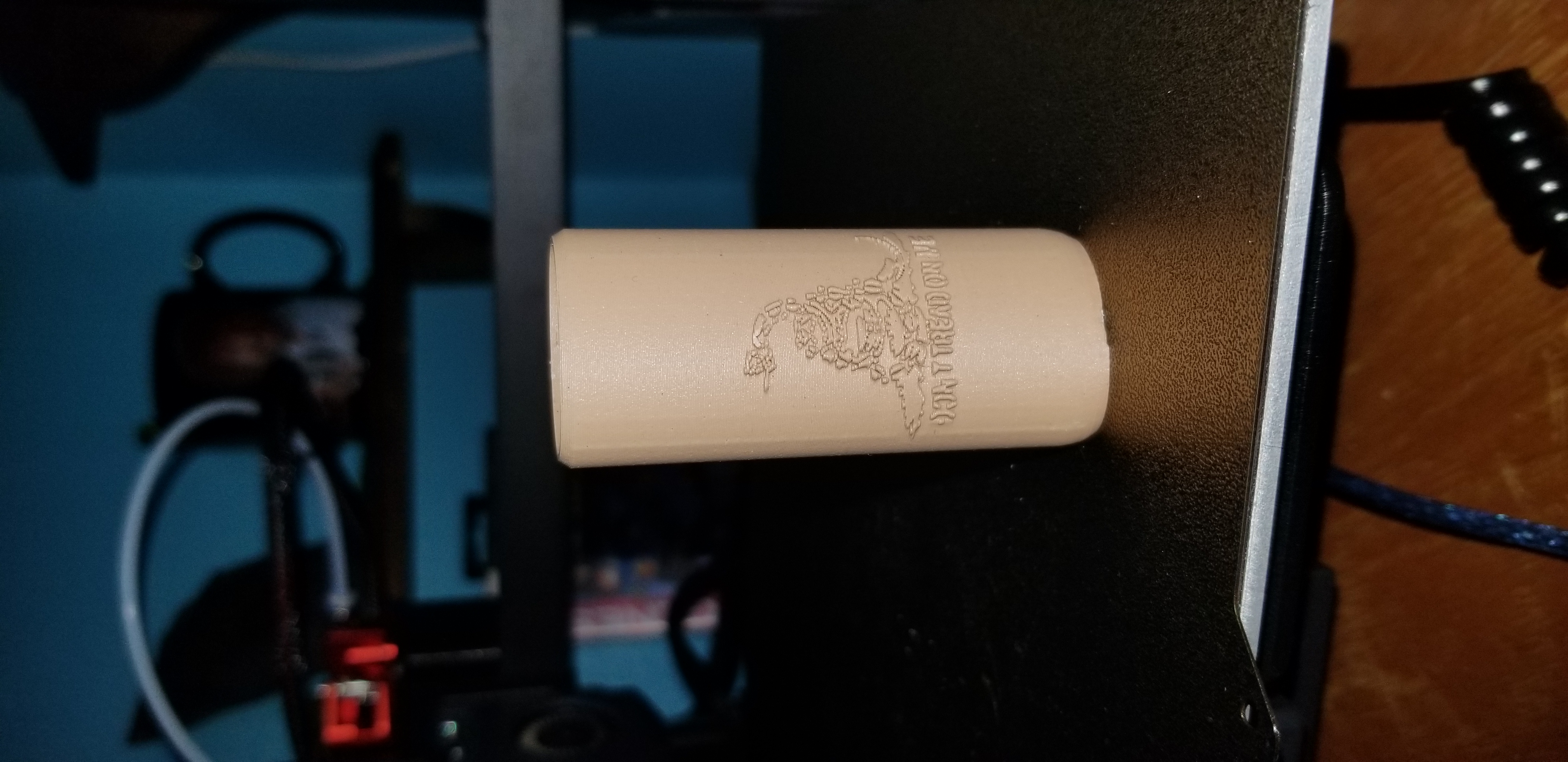 Bic lighter case Gadsden Flag