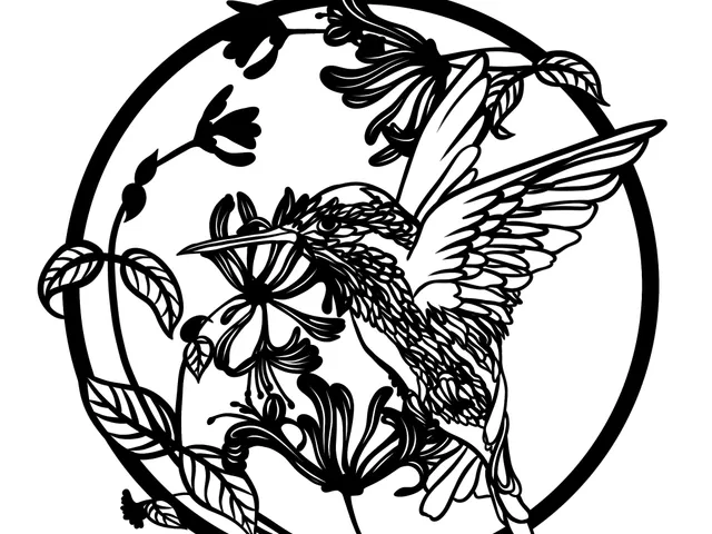 Hummingbird