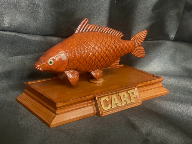 Carp Fish Model with Box Base