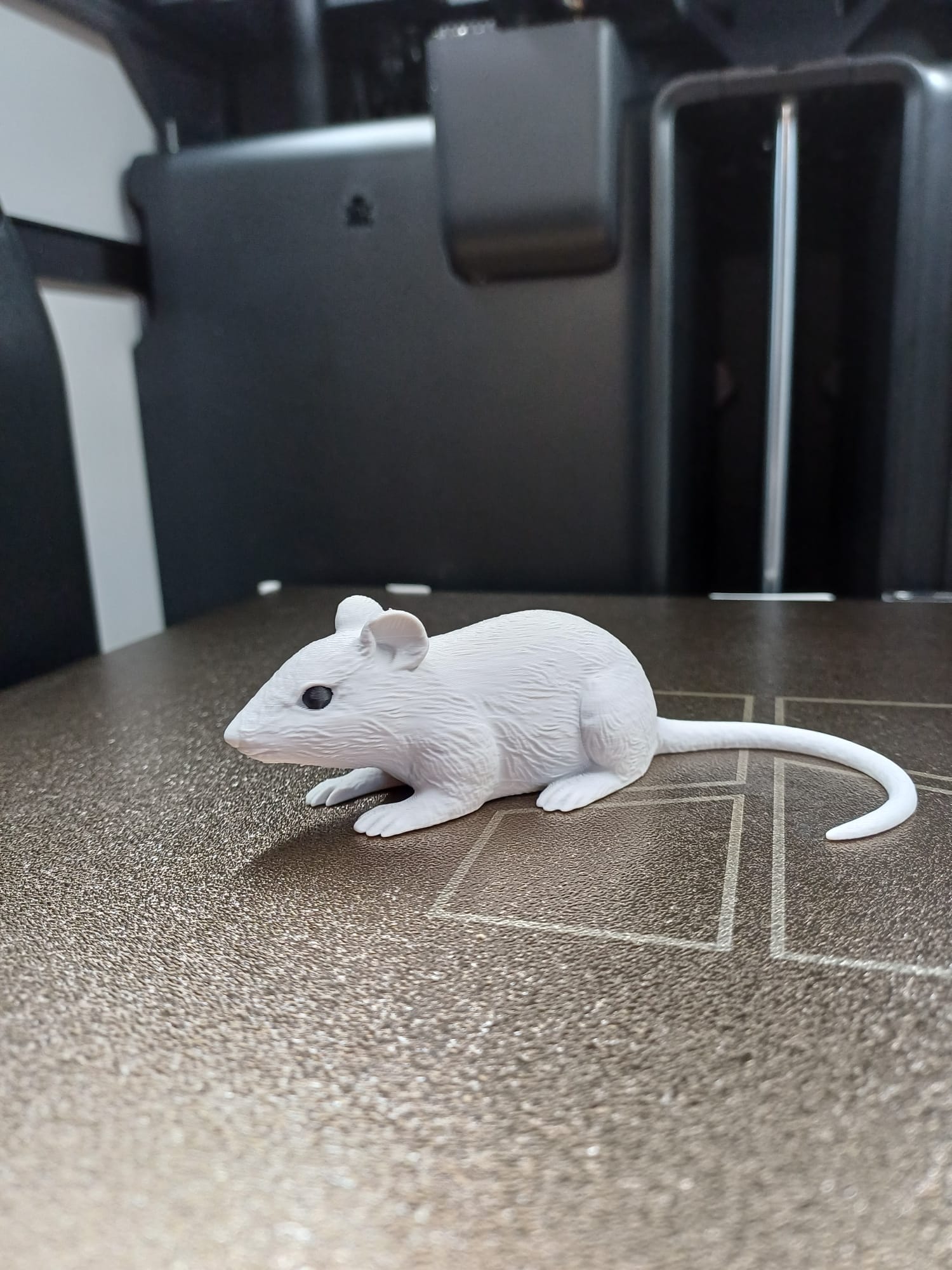 Sneaky Little Mouse