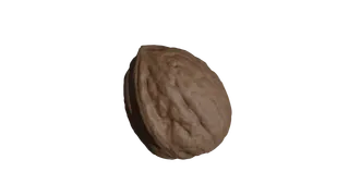 Walnut 3D scan